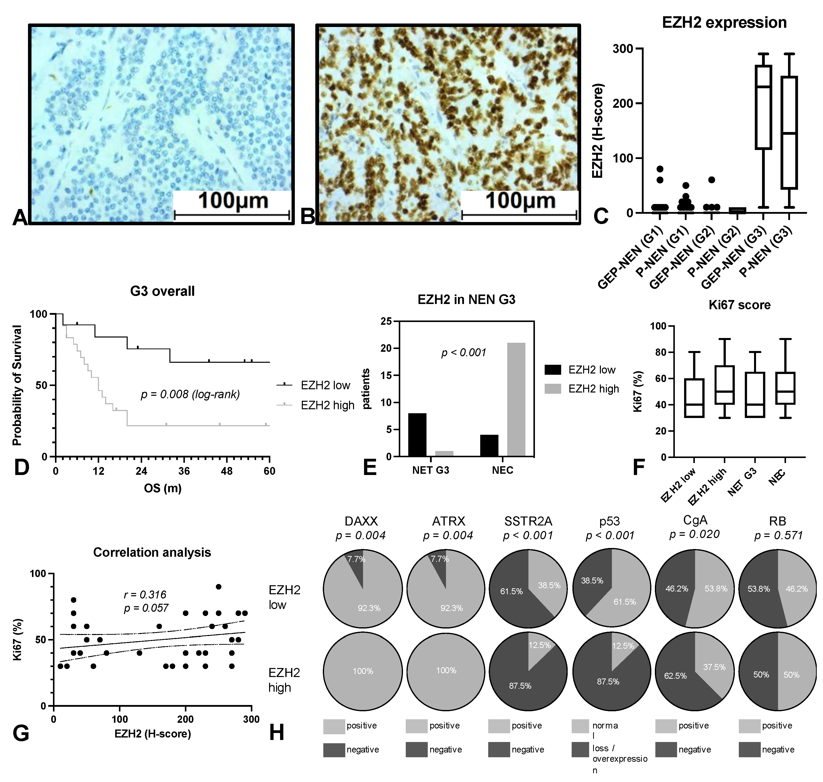 Cancers 14 02828 g003