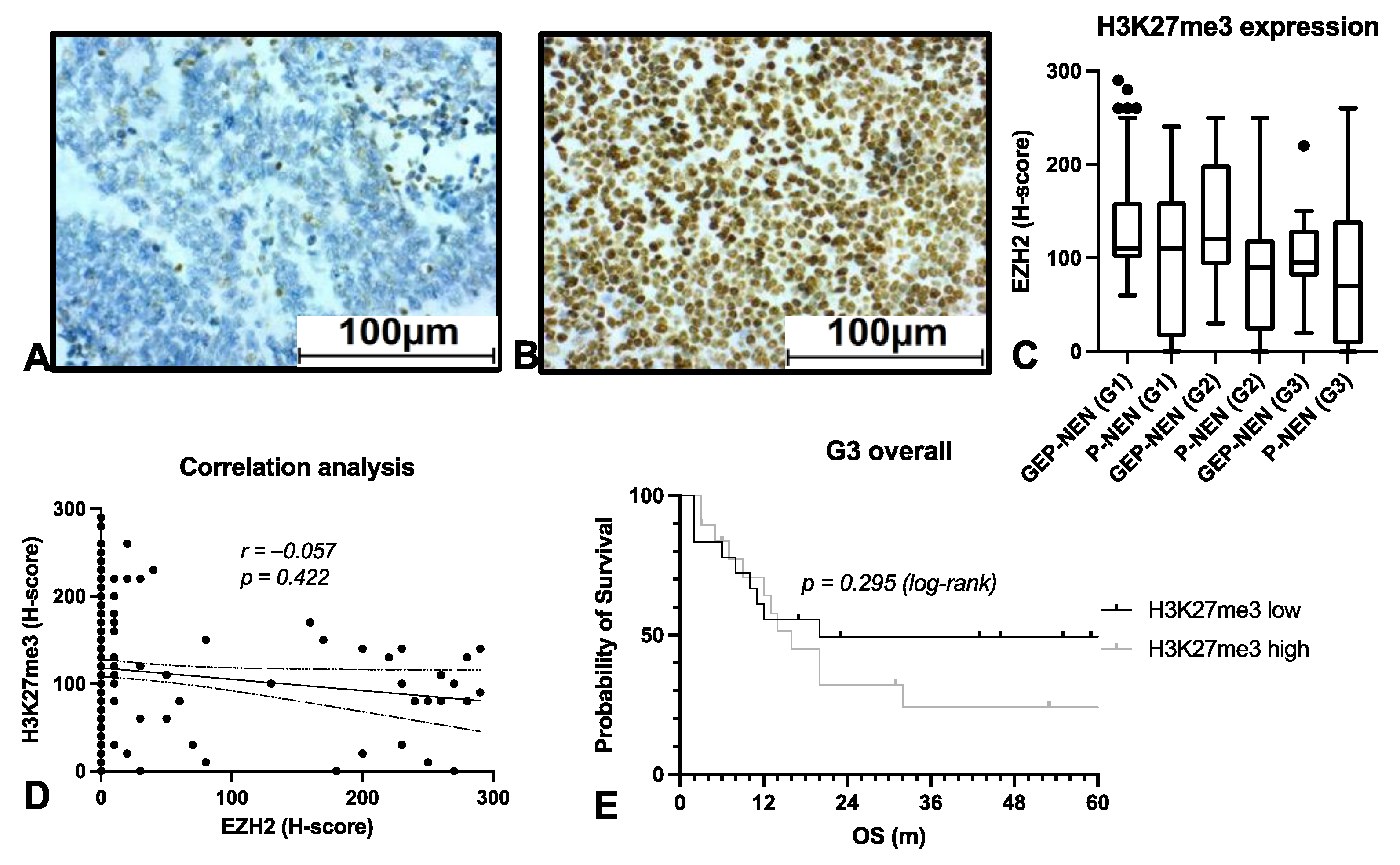 Cancers 14 02828 g004