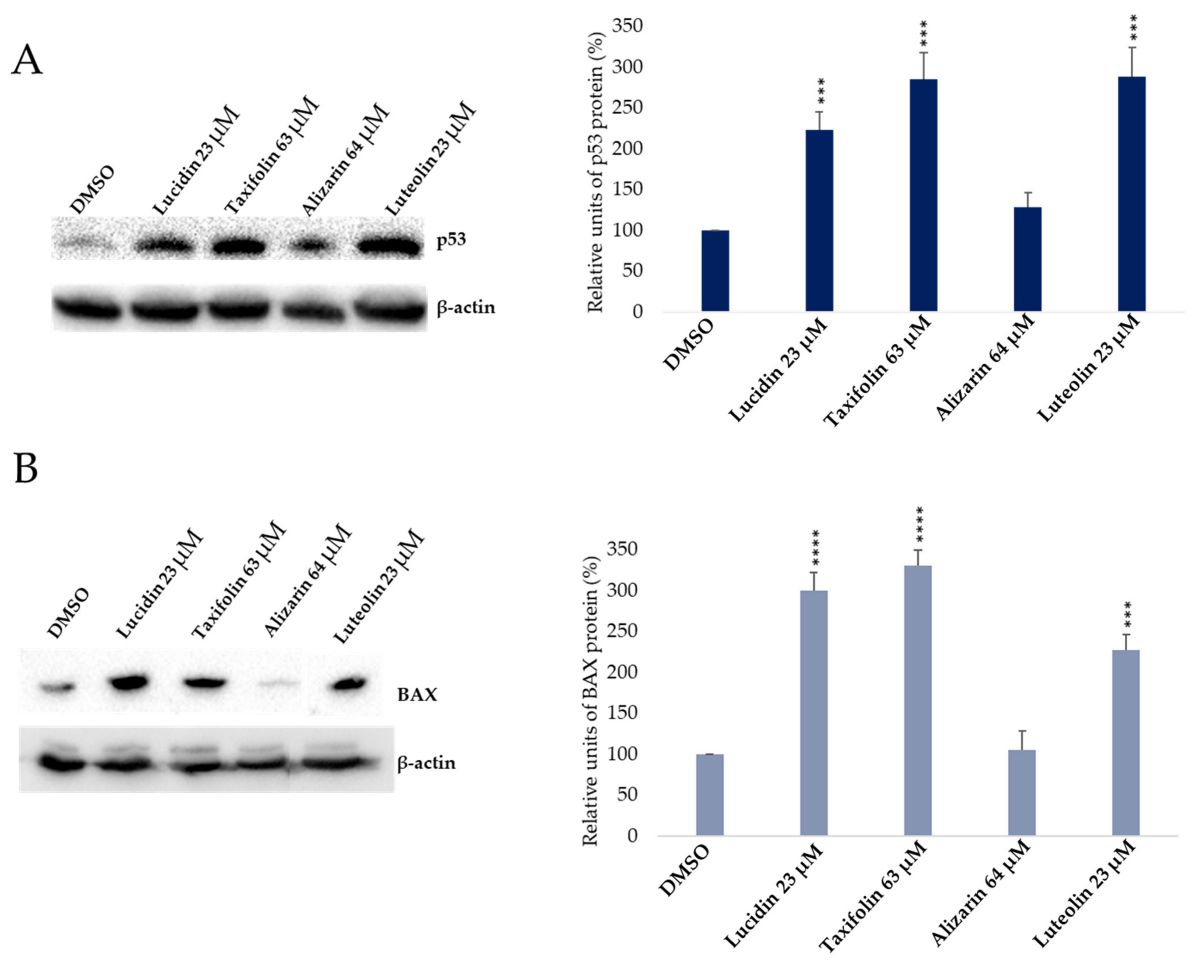 Cancers 14 02834 g006