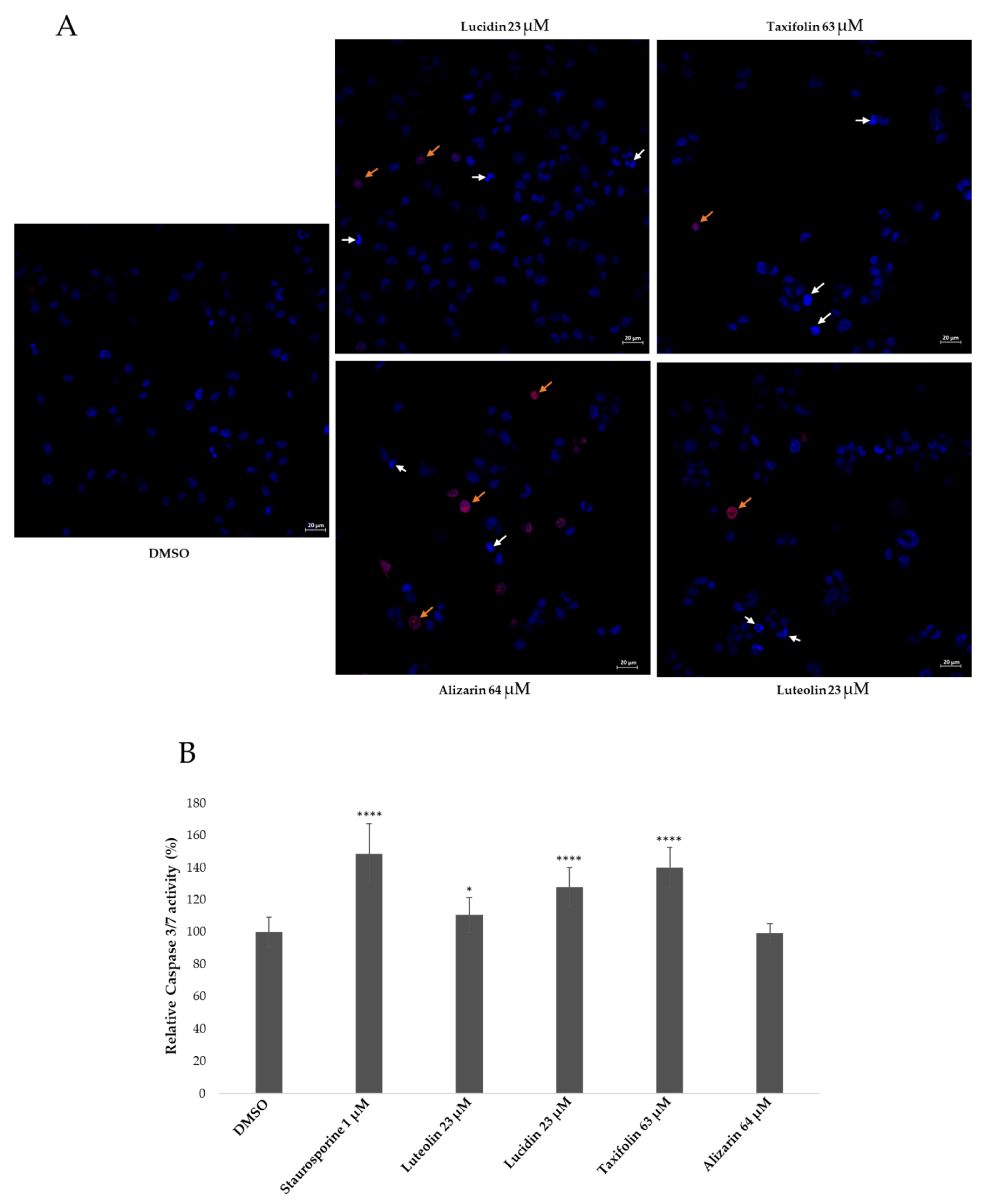 Cancers 14 02834 g007