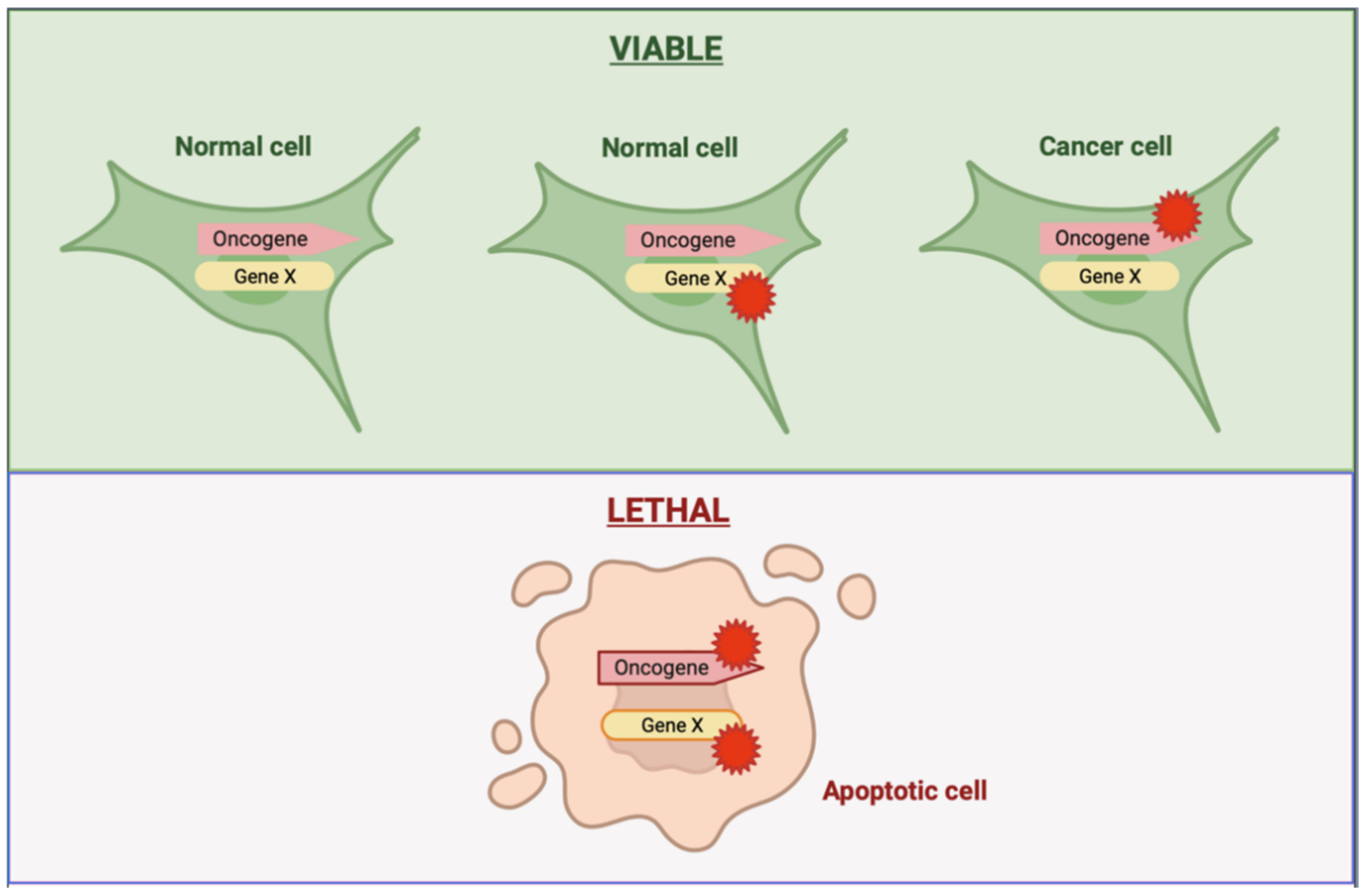 Cancers 14 02837 g002