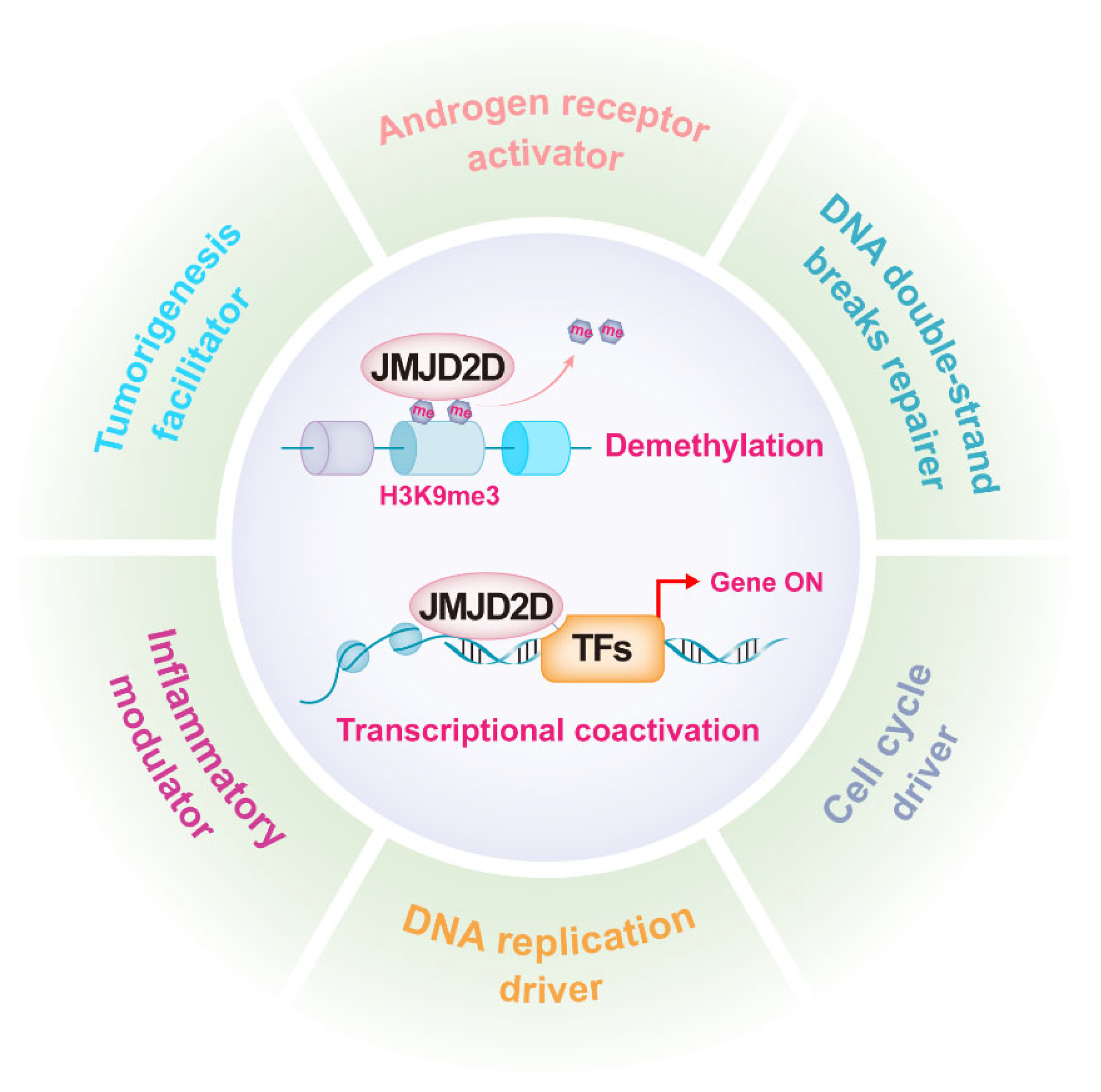Cancers 14 02841 g002 Cancers 14 02841 g002