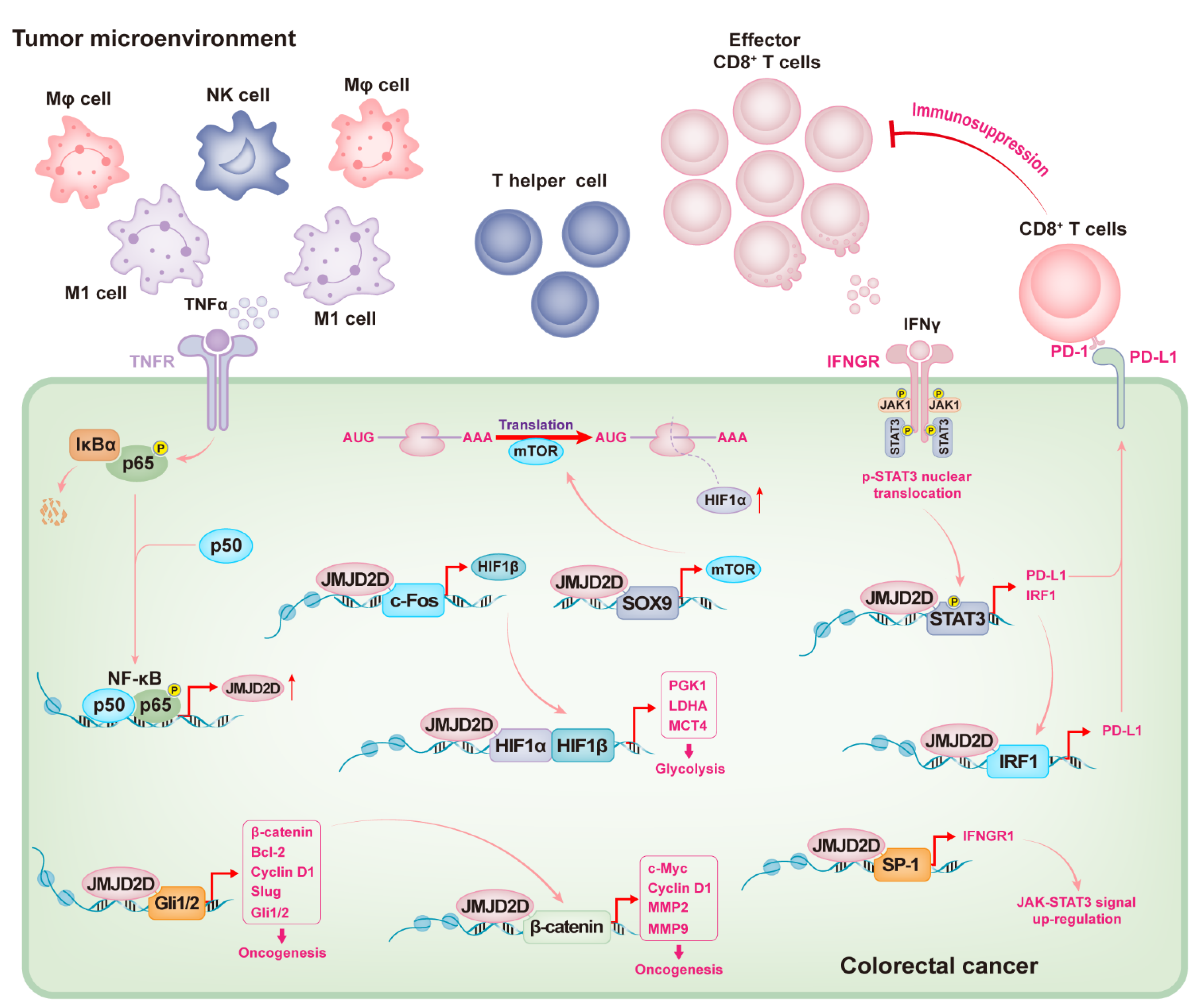 Cancers 14 02841 g003 Cancers 14 02841 g003