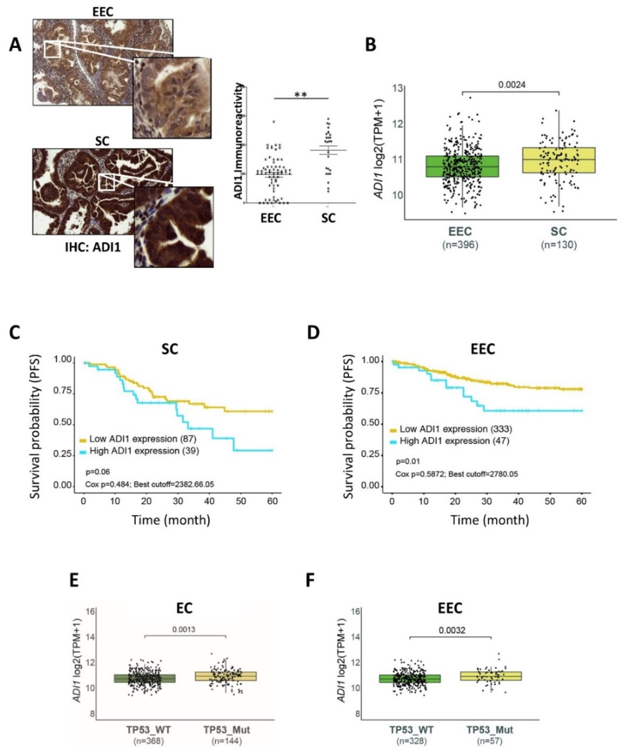 Cancers 14 02842 g002
