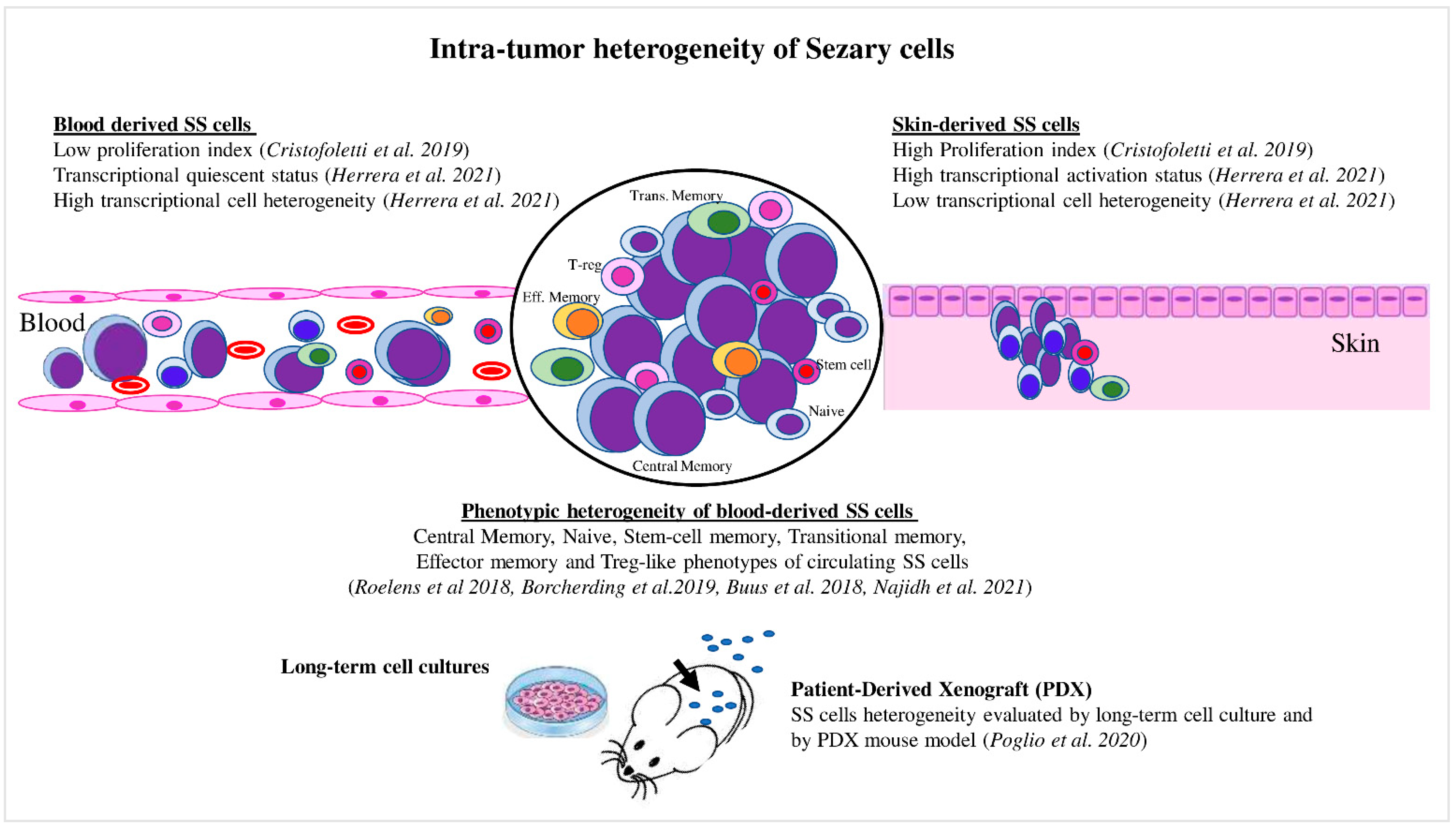 Cancers 14 02847 g002 Cancers 14 02847 g002