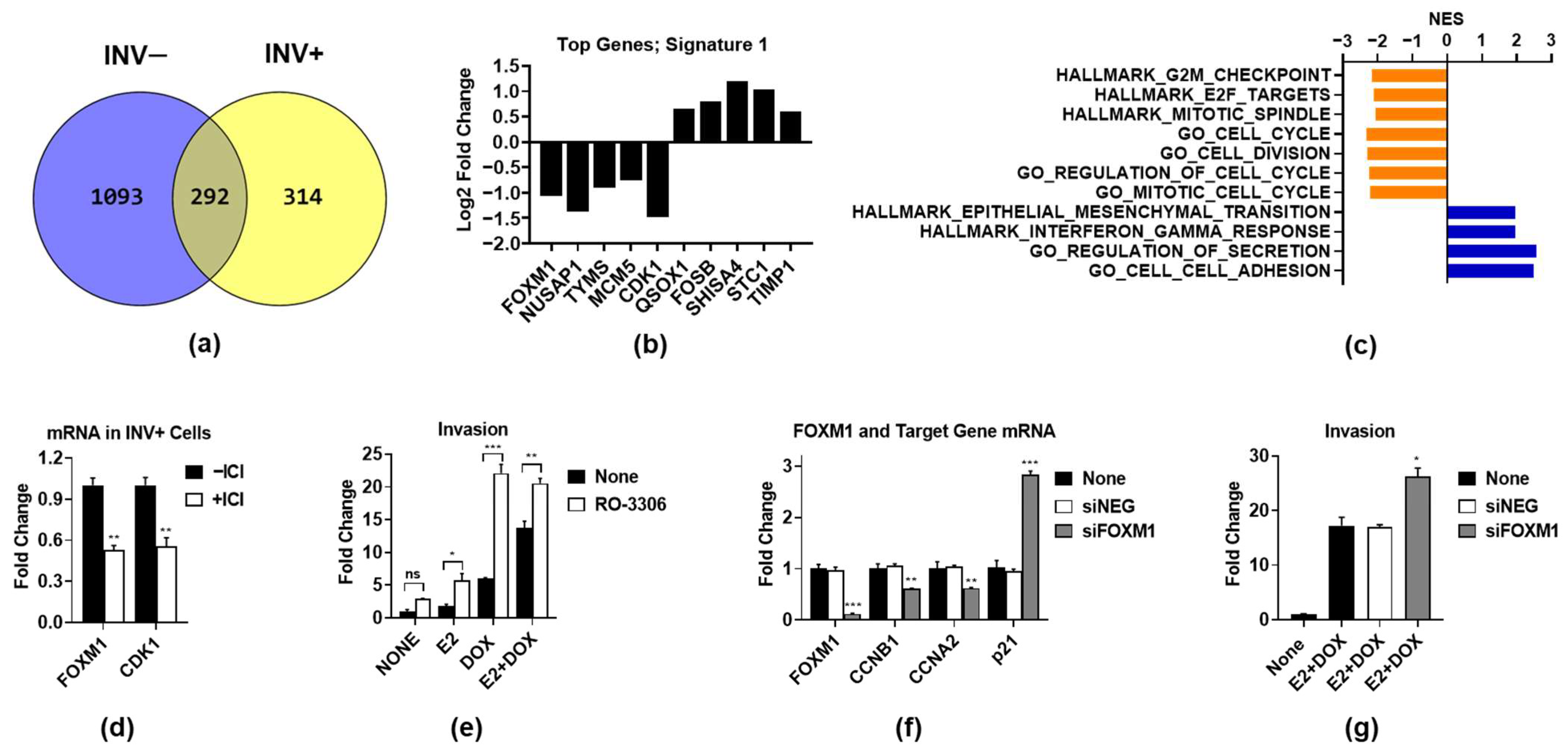 Cancers 14 02848 g002 Cancers 14 02848 g002
