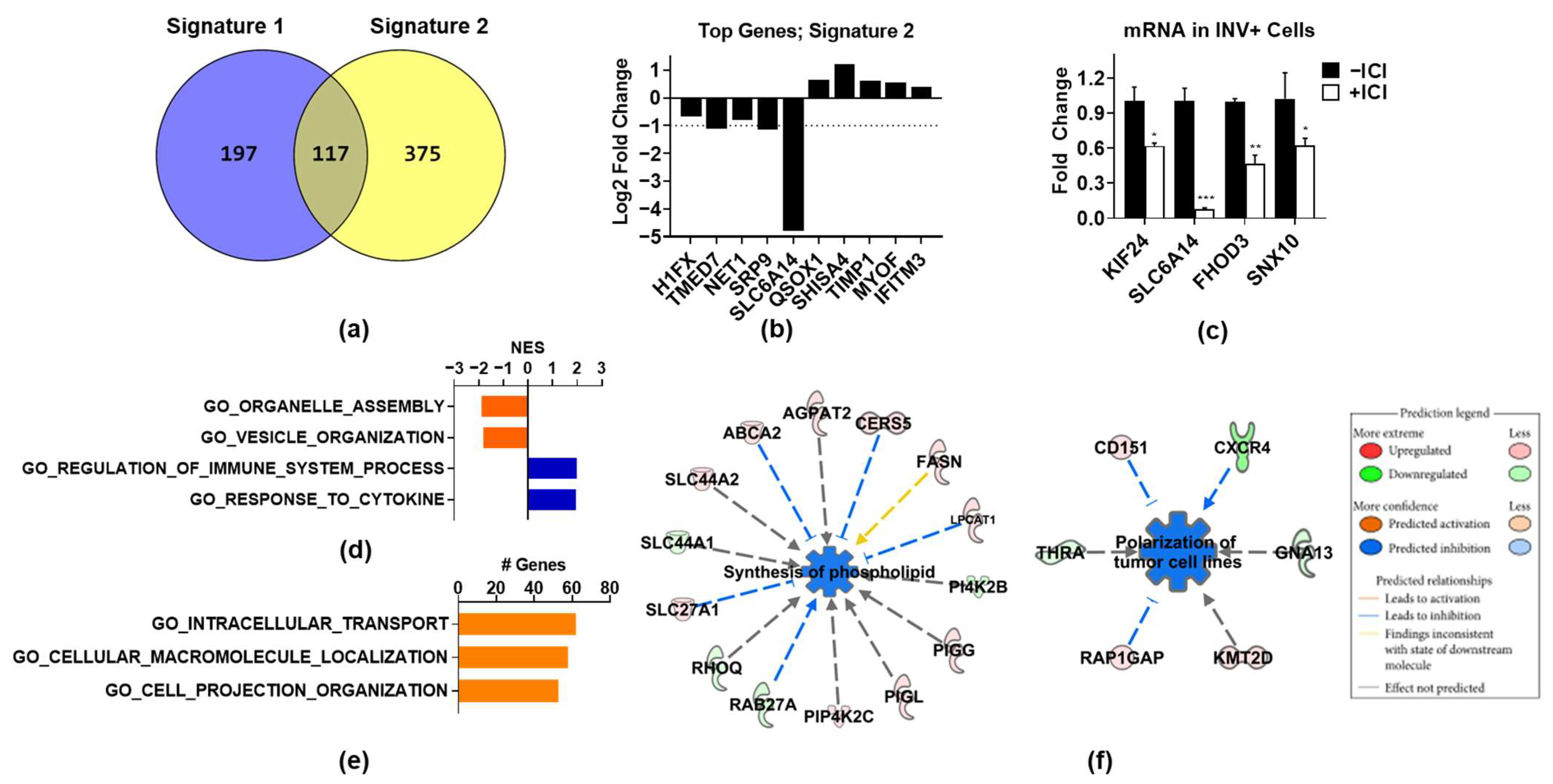 Cancers 14 02848 g003 Cancers 14 02848 g003