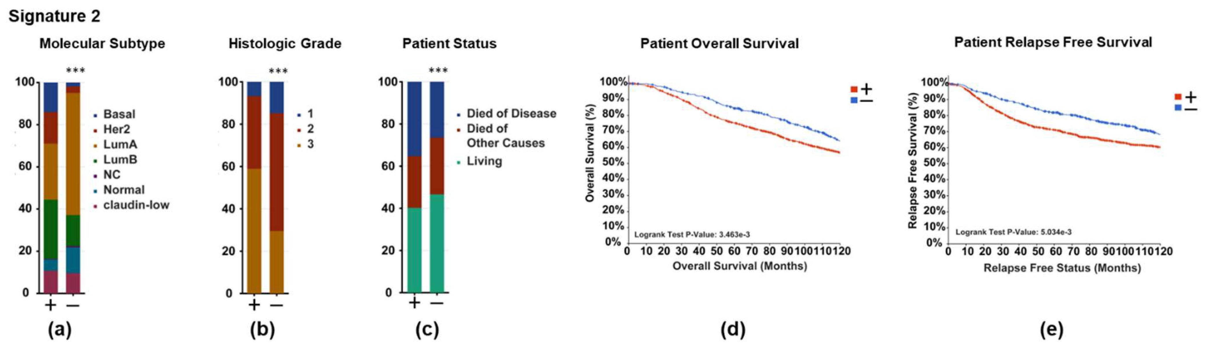 Cancers 14 02848 g006 Cancers 14 02848 g006