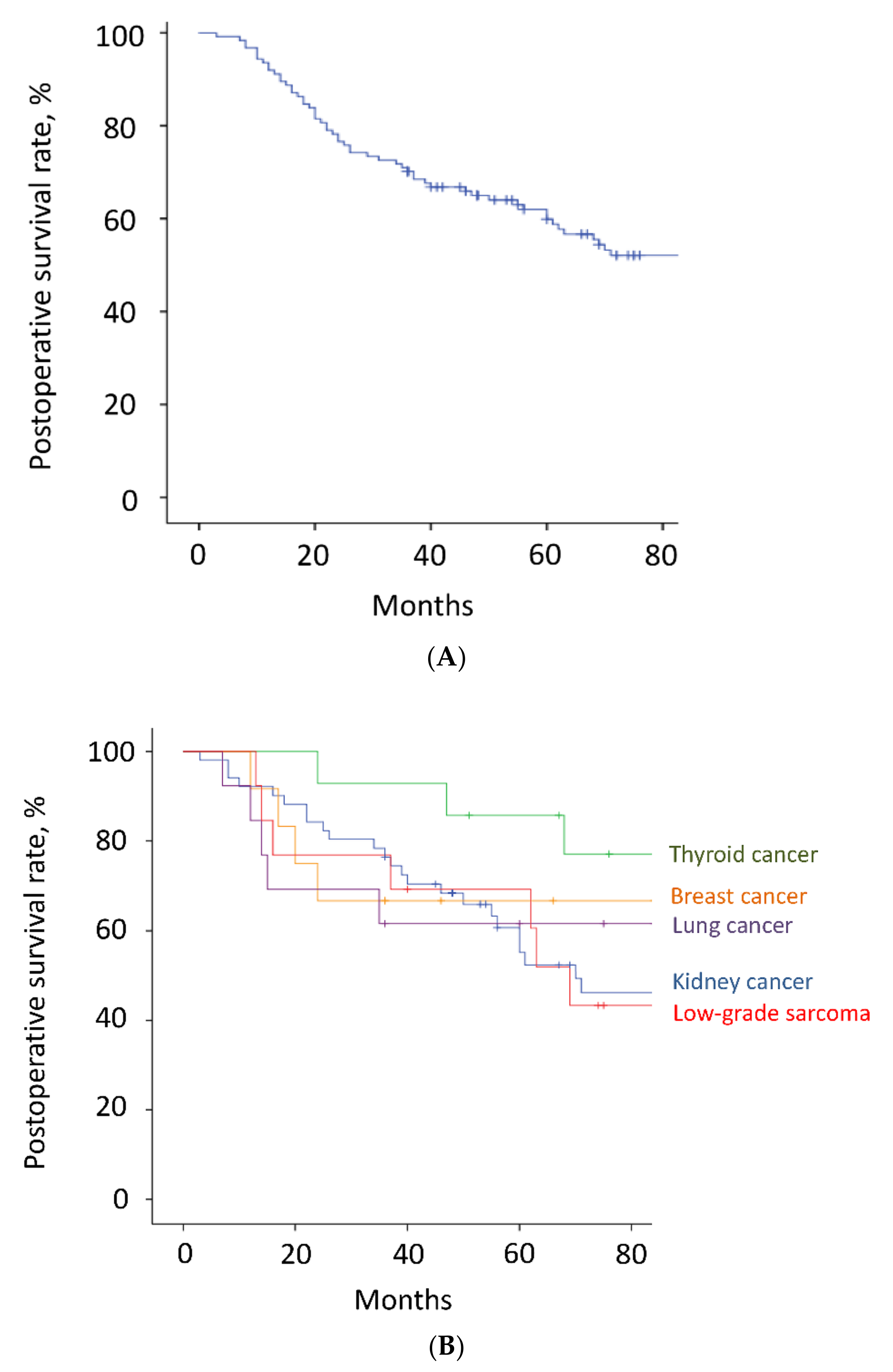 Cancers 14 02852 g003 550