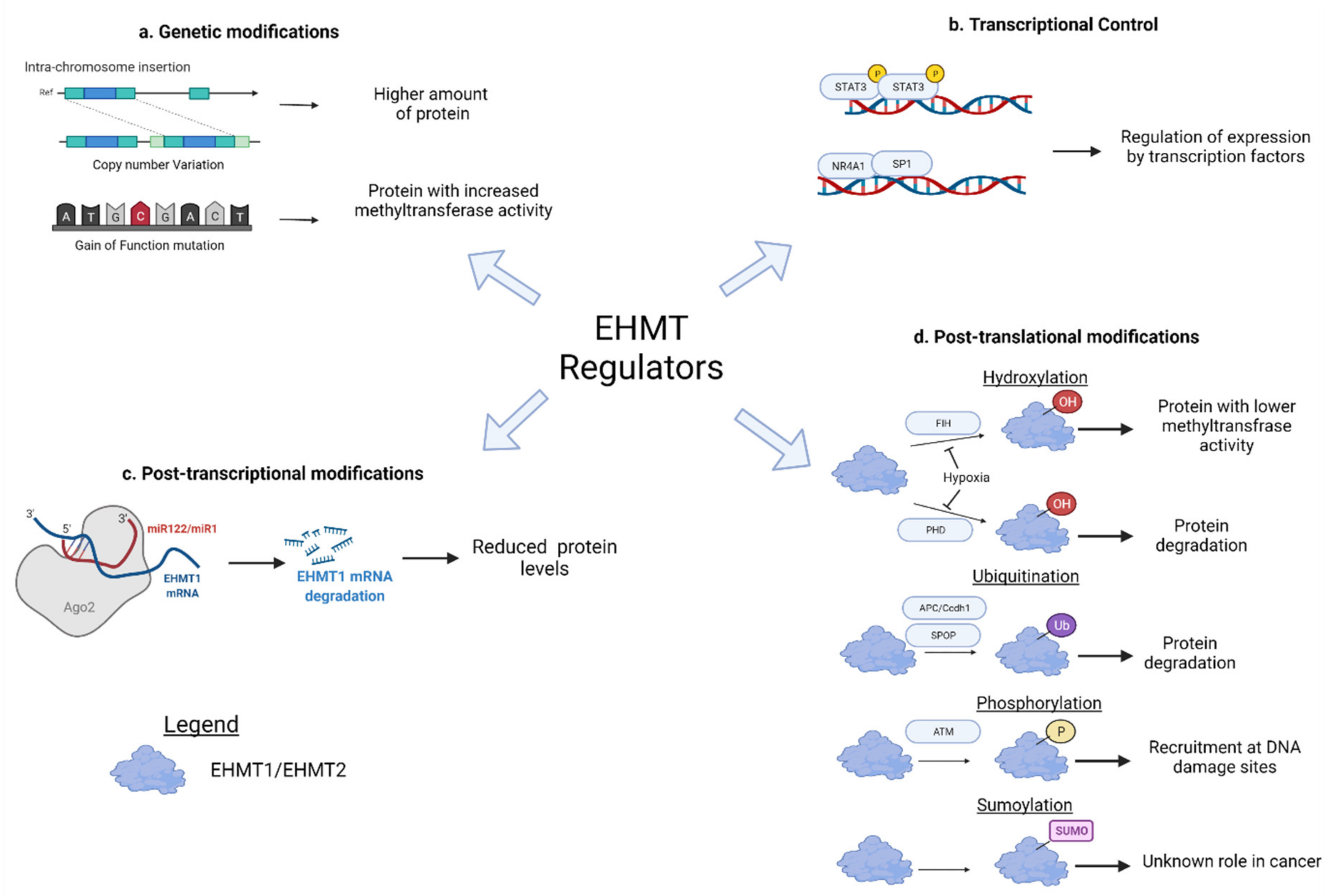Cancers 14 02855 g001 Cancers 14 02855 g001