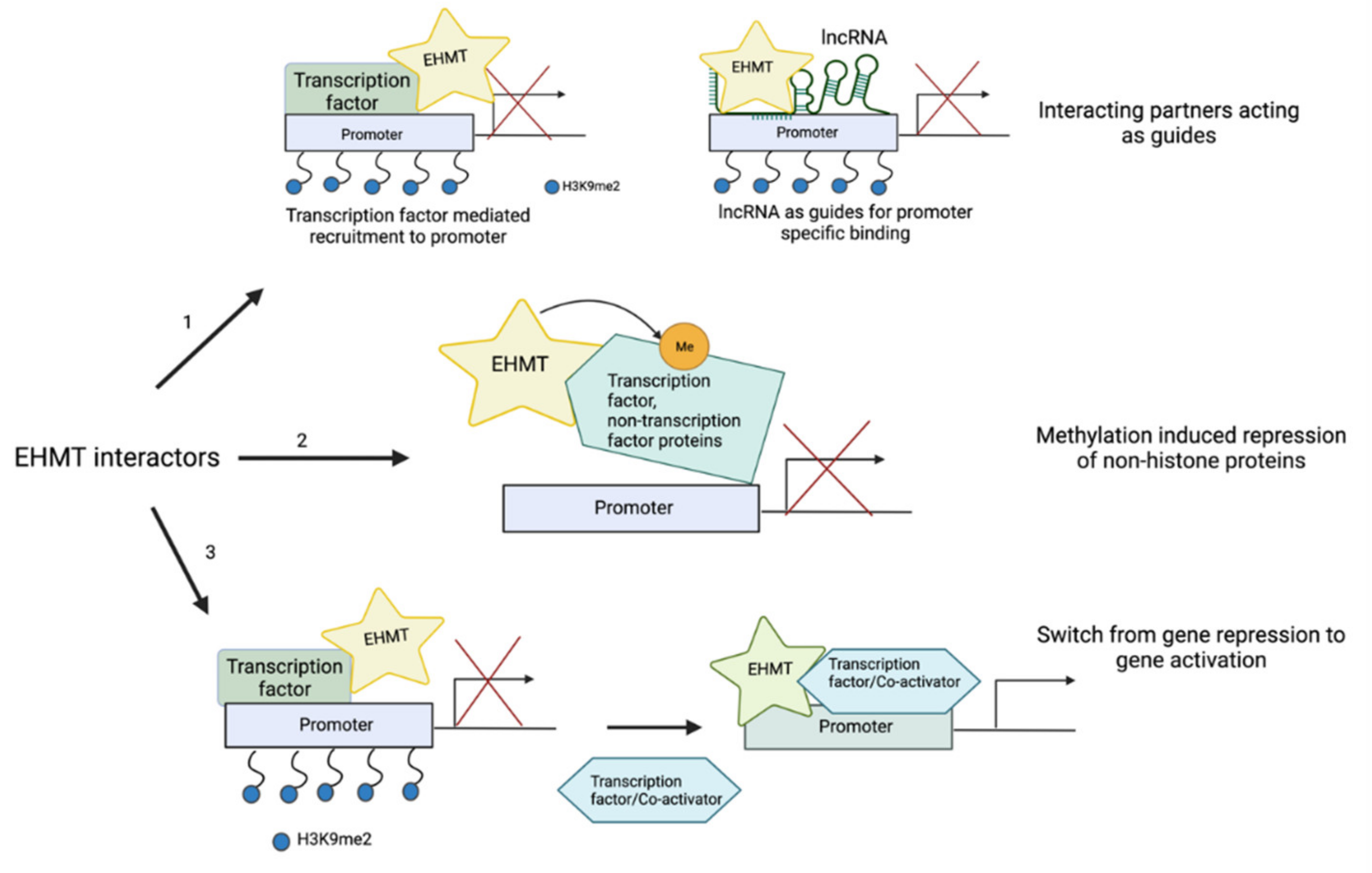 Cancers 14 02855 g002 Cancers 14 02855 g002