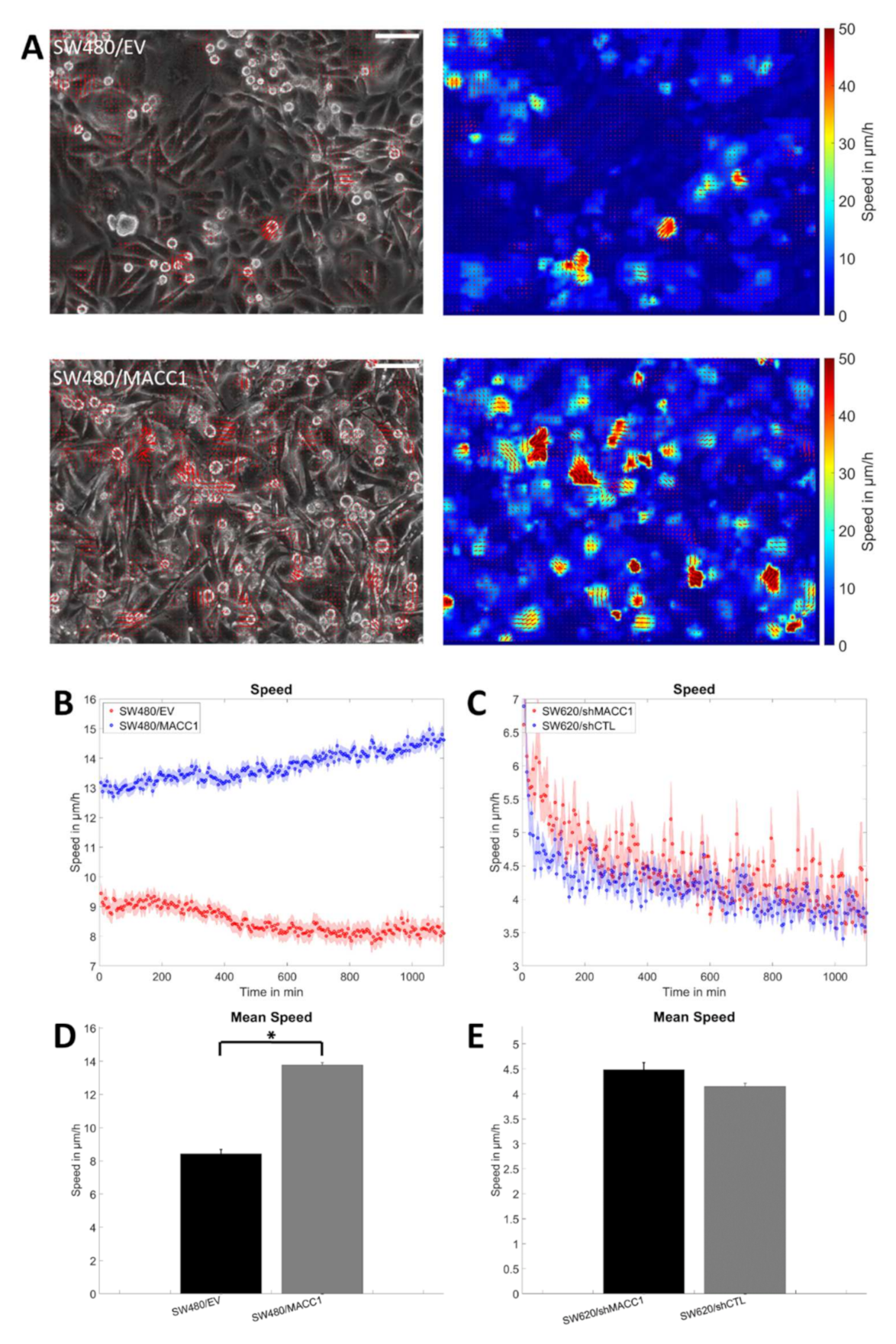 Cancers 14 02857 g002