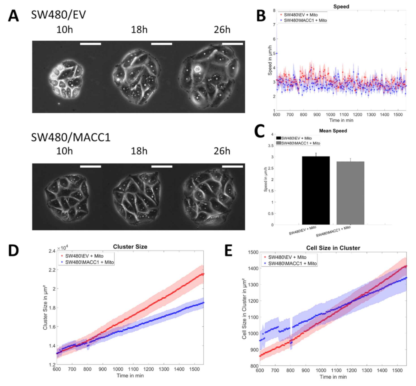 Cancers 14 02857 g007