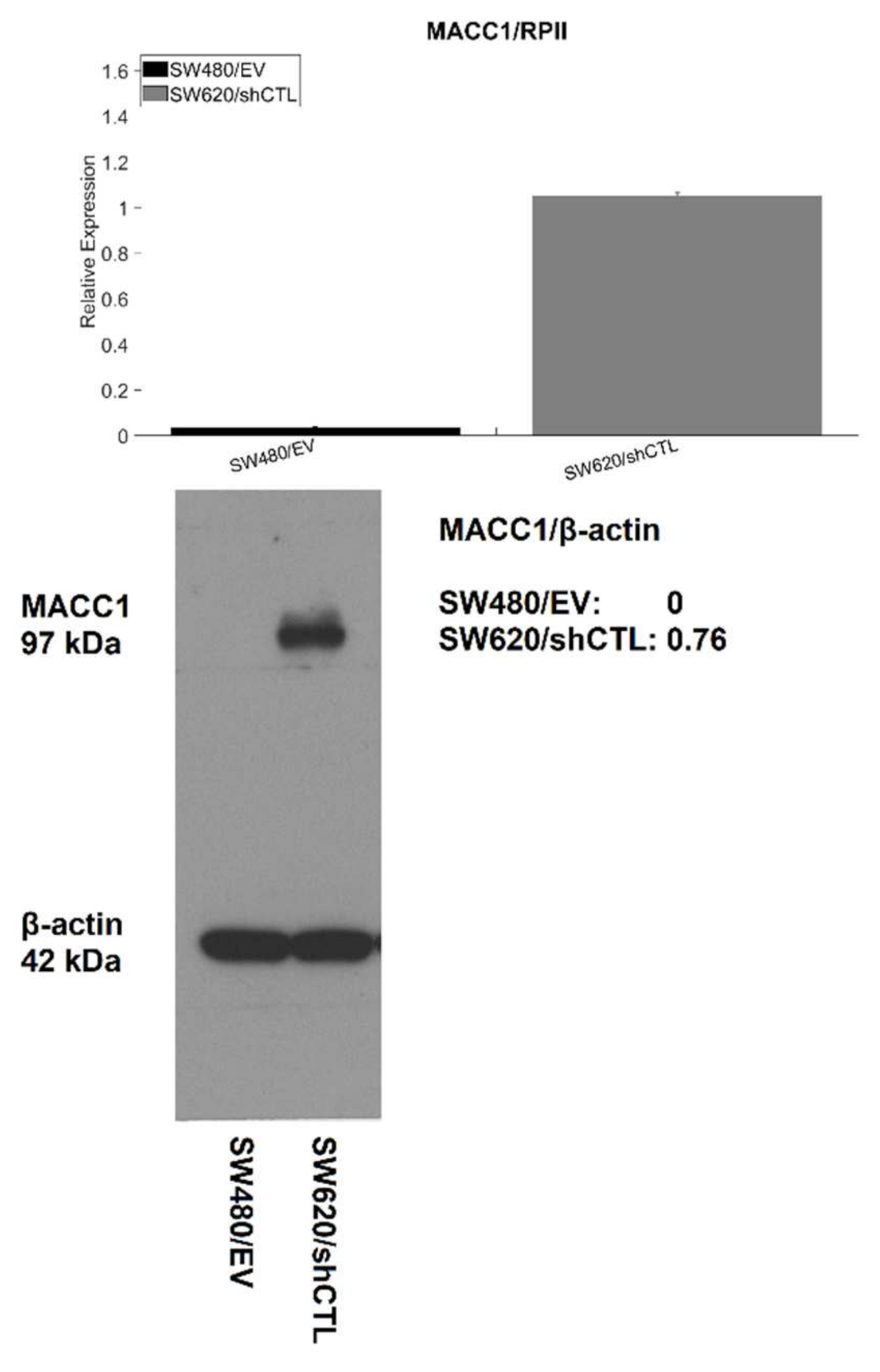 Cancers 14 02857 g0a2
