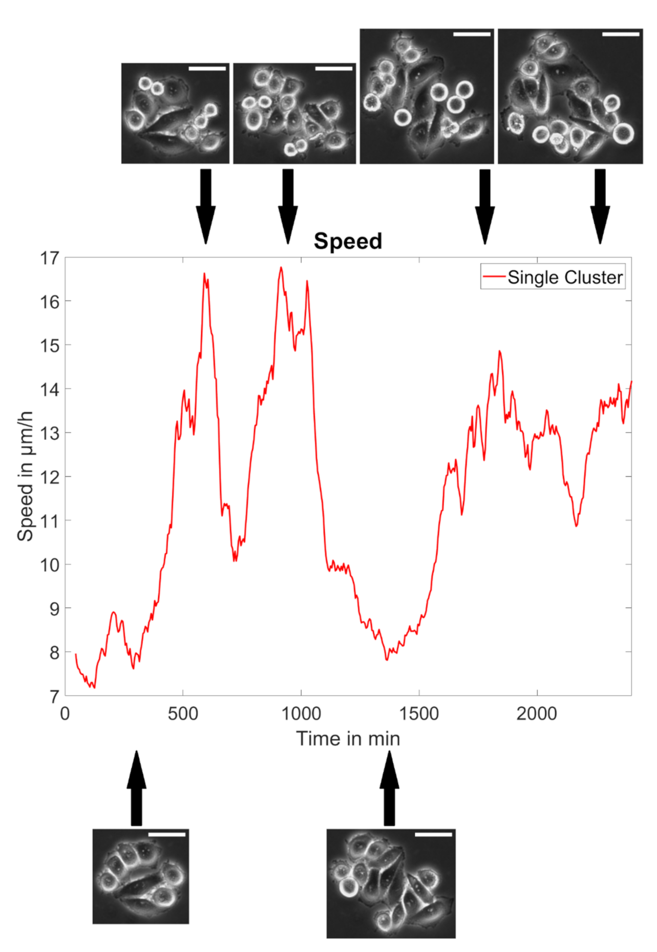Cancers 14 02857 g0a4