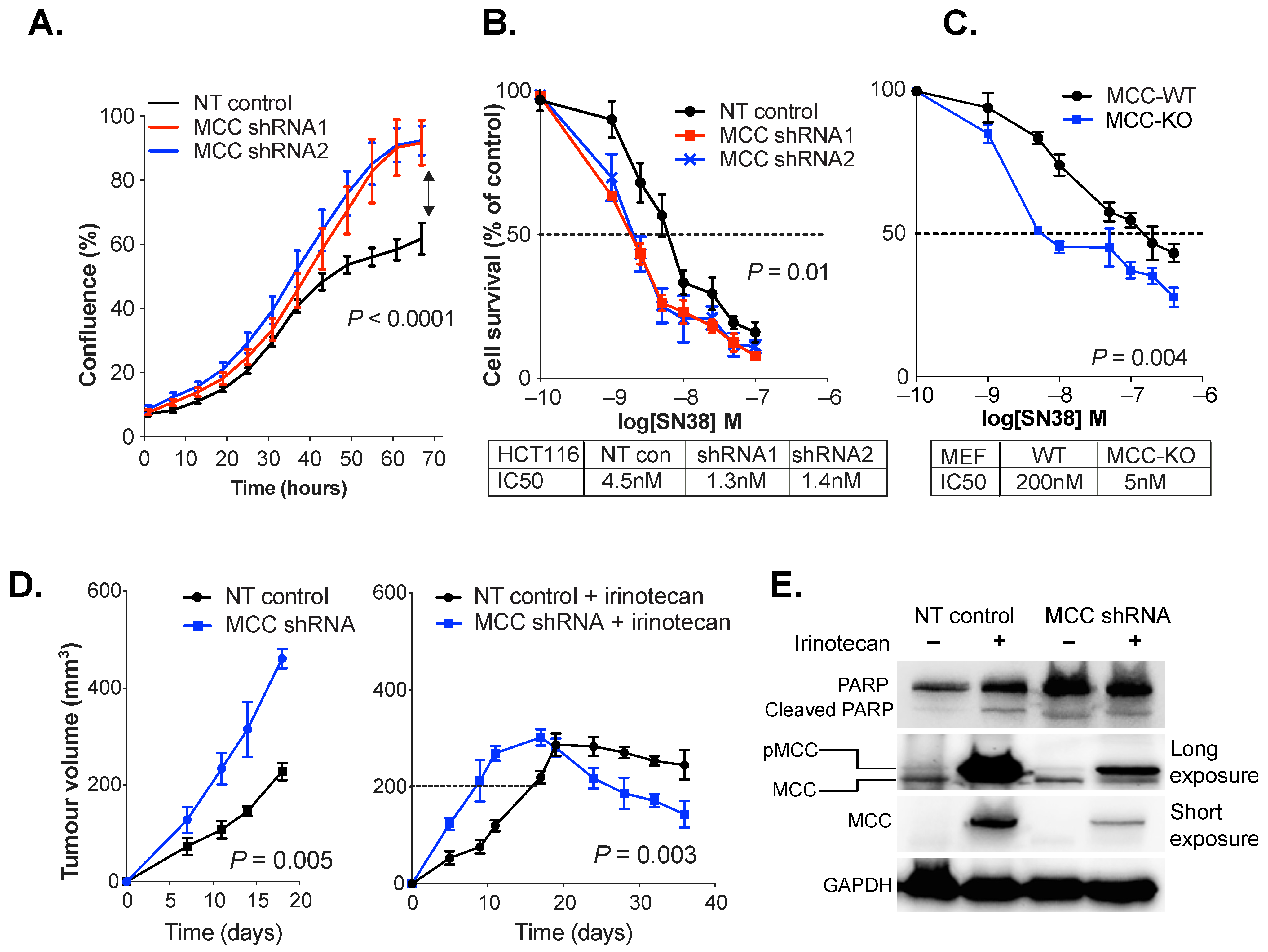 Cancers 14 02859 g002 550