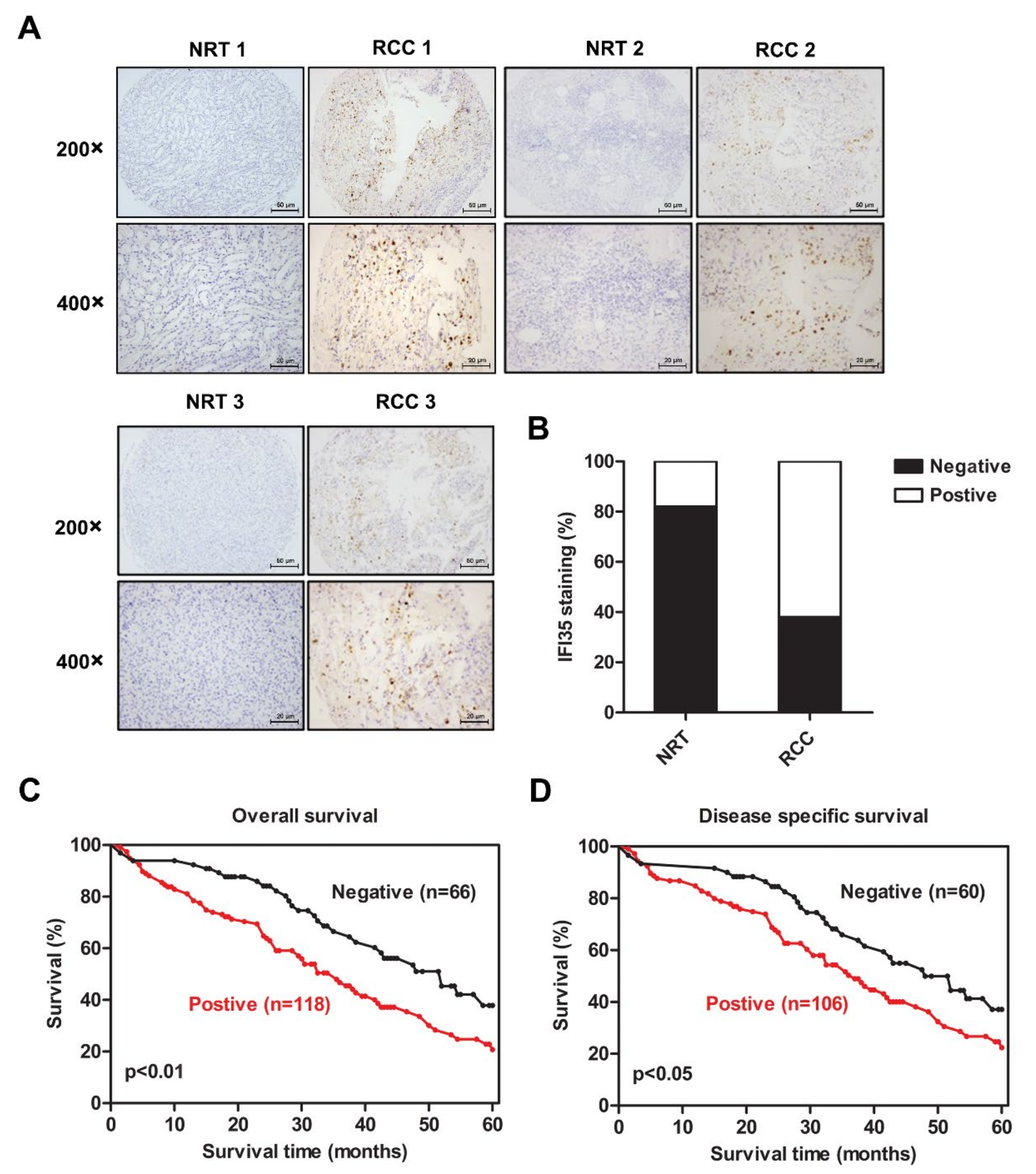 Cancers 14 02861 g001