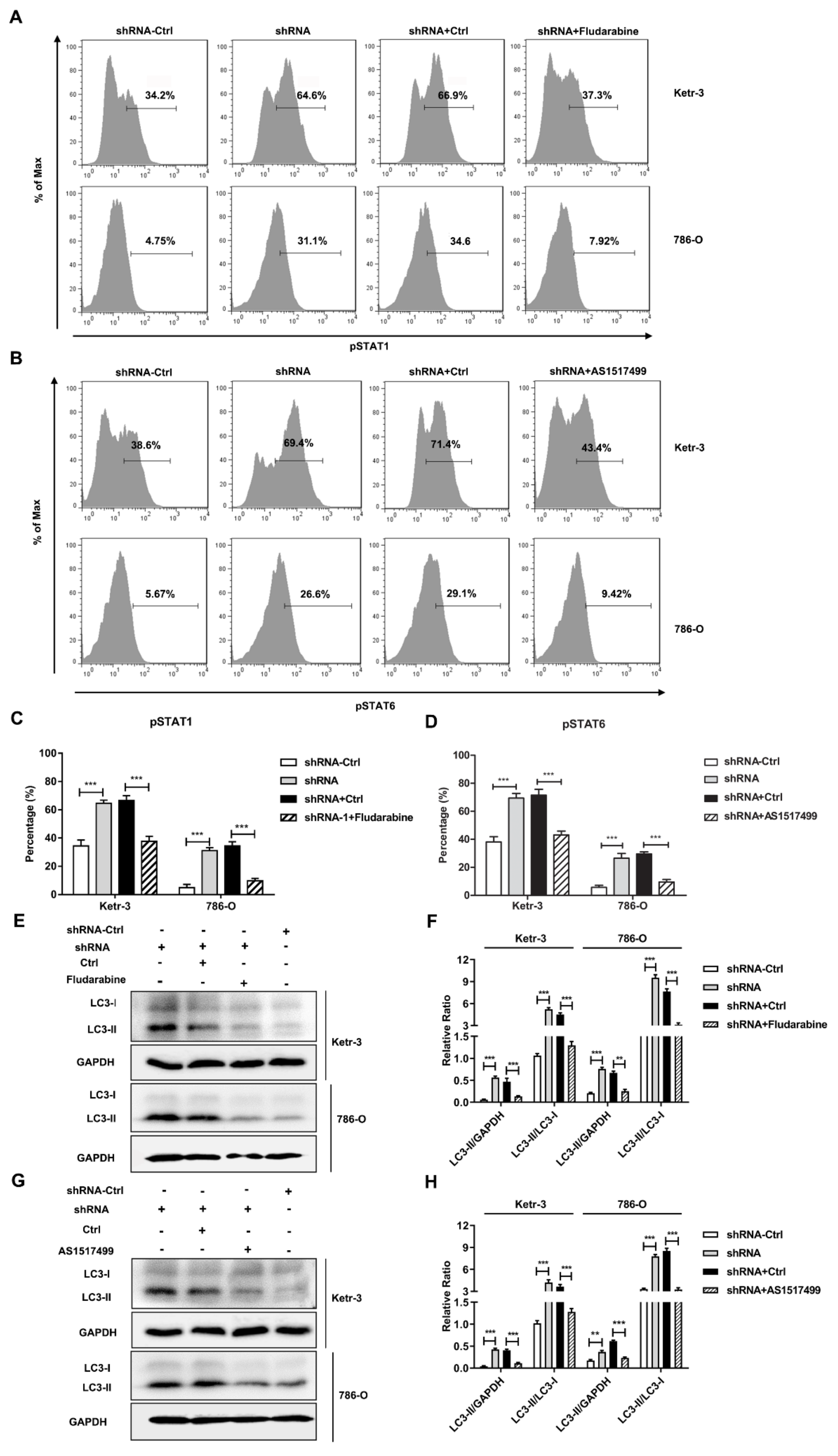 Cancers 14 02861 g005
