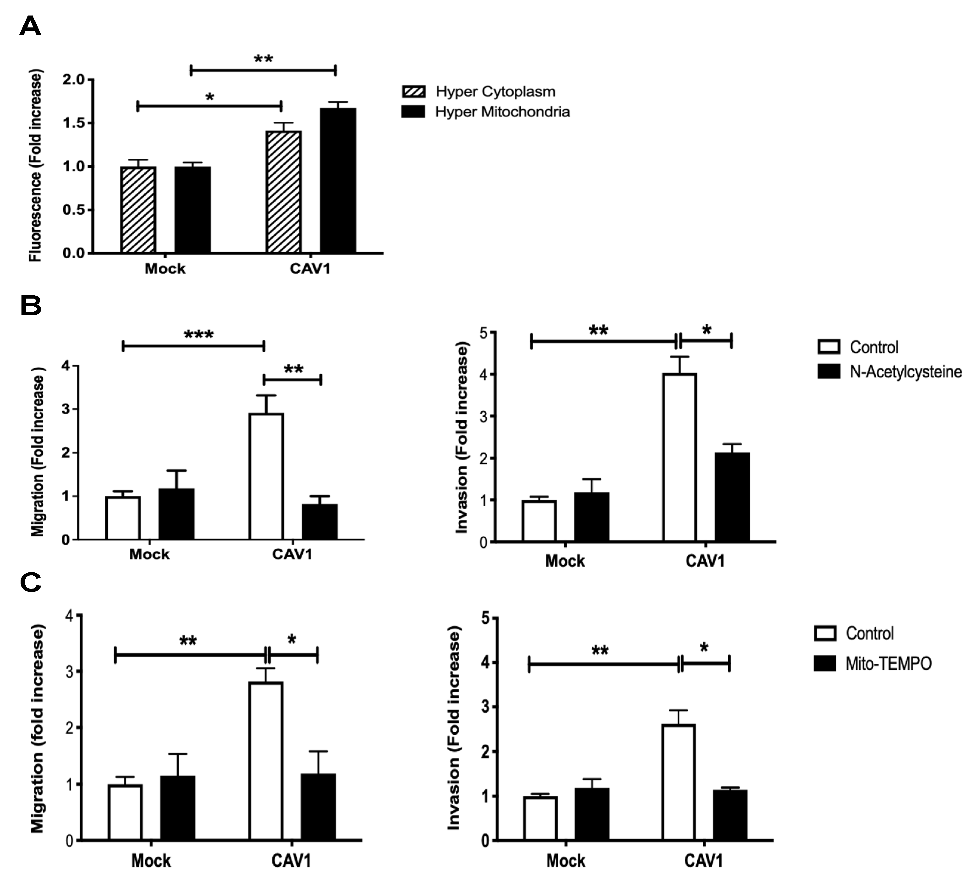 Cancers 14 02862 g003