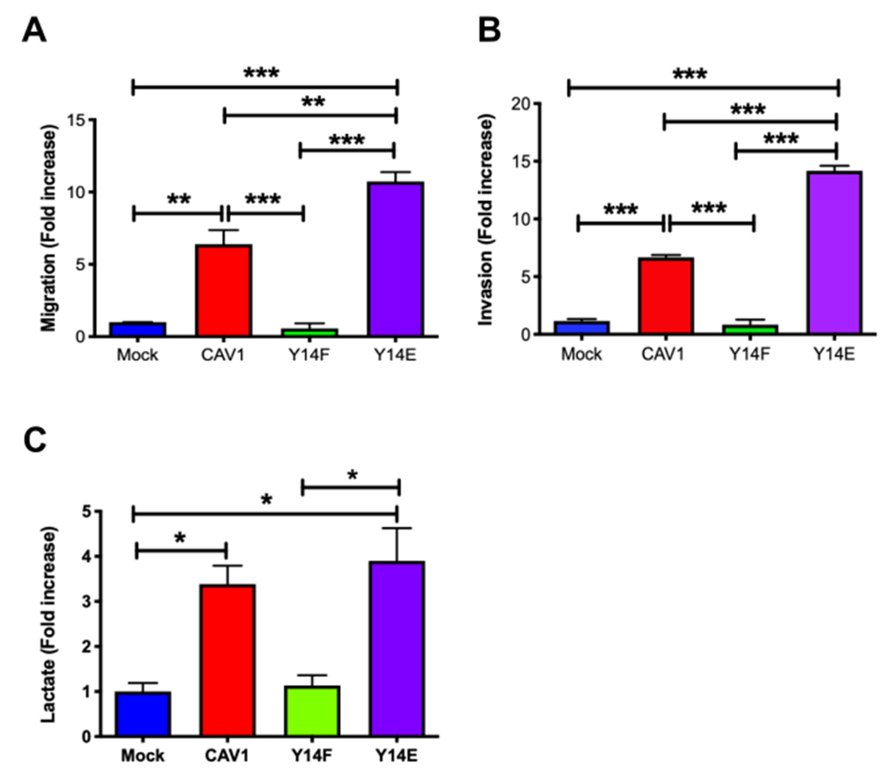 Cancers 14 02862 g004