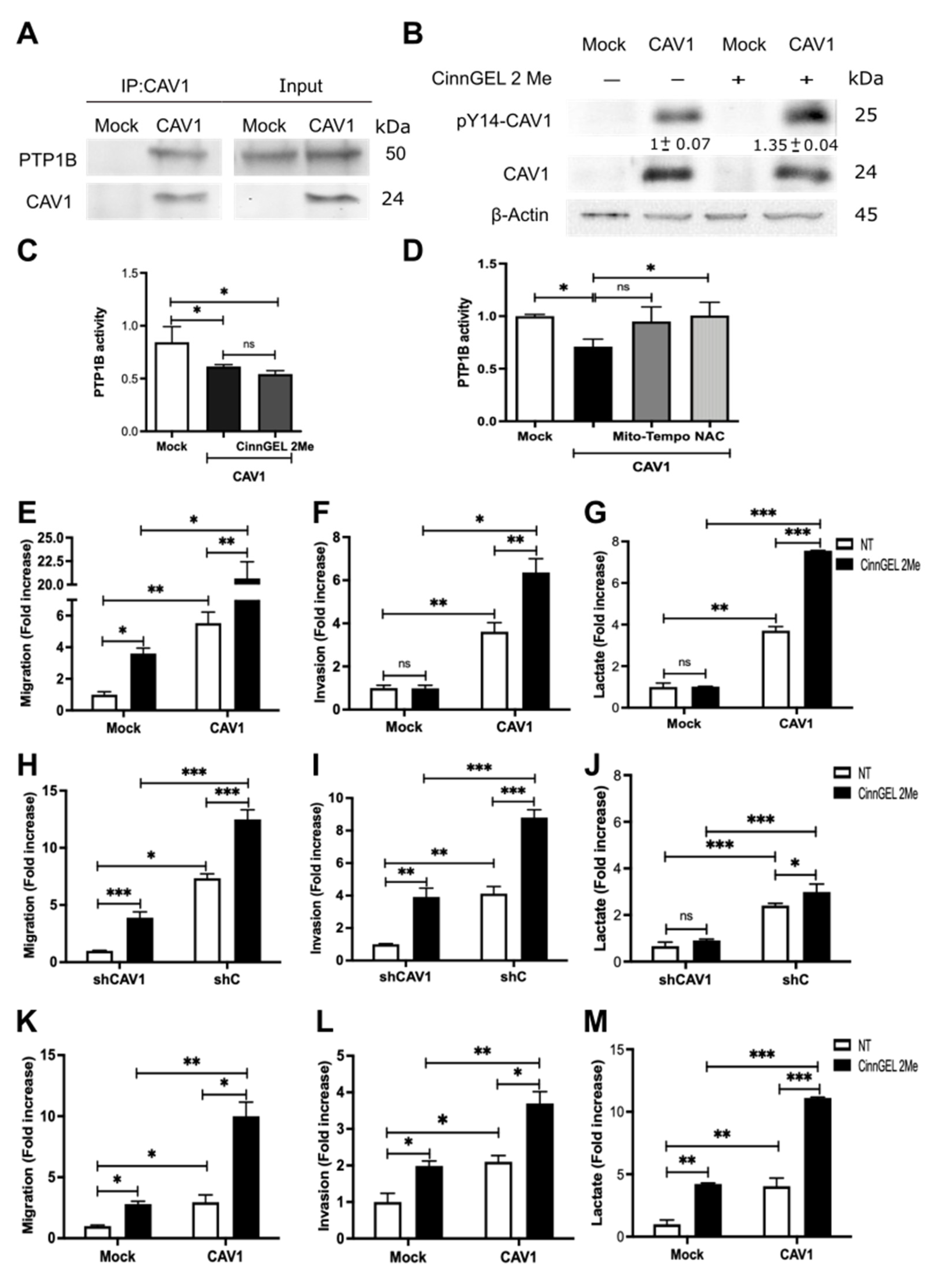 Cancers 14 02862 g006