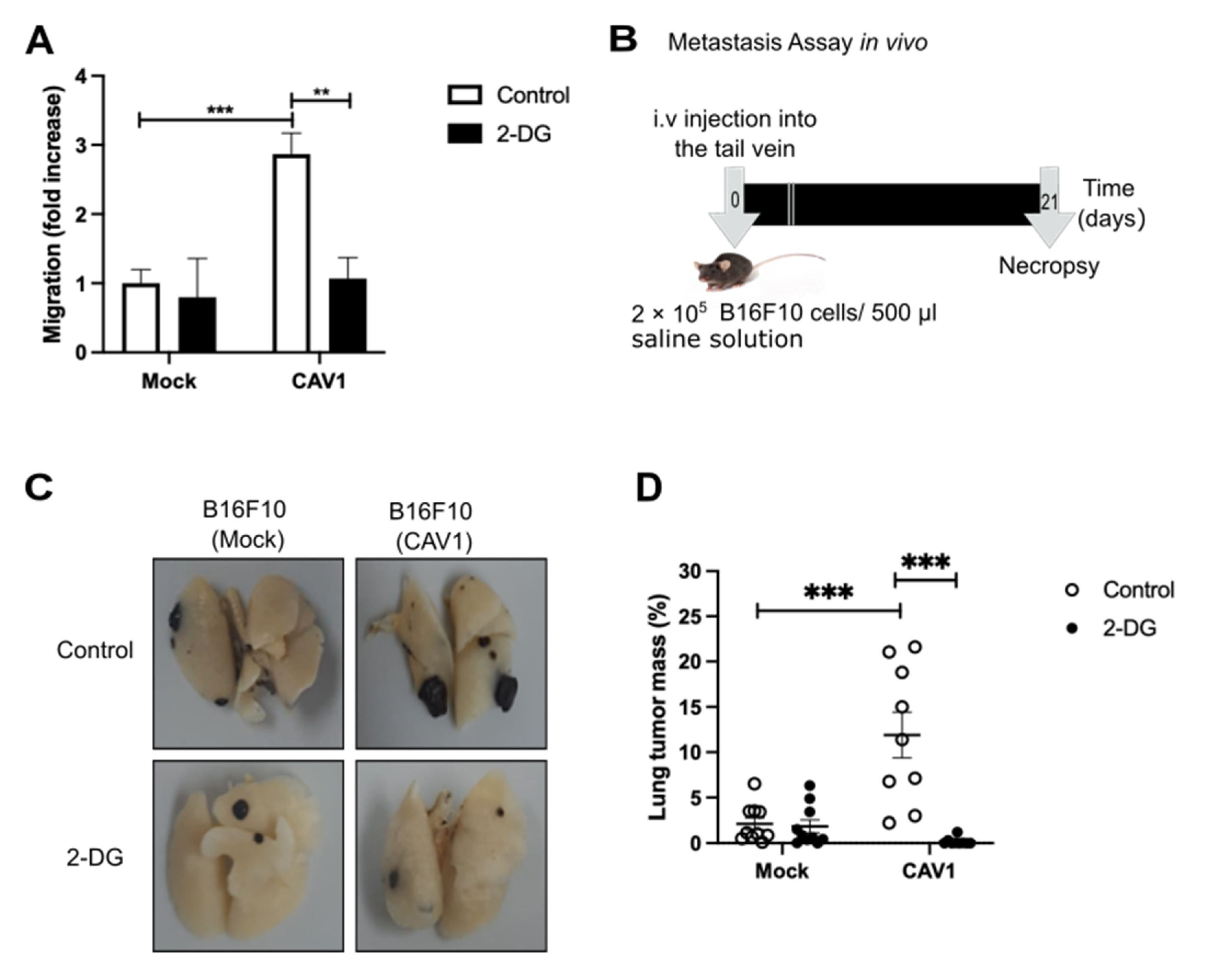 Cancers 14 02862 g007
