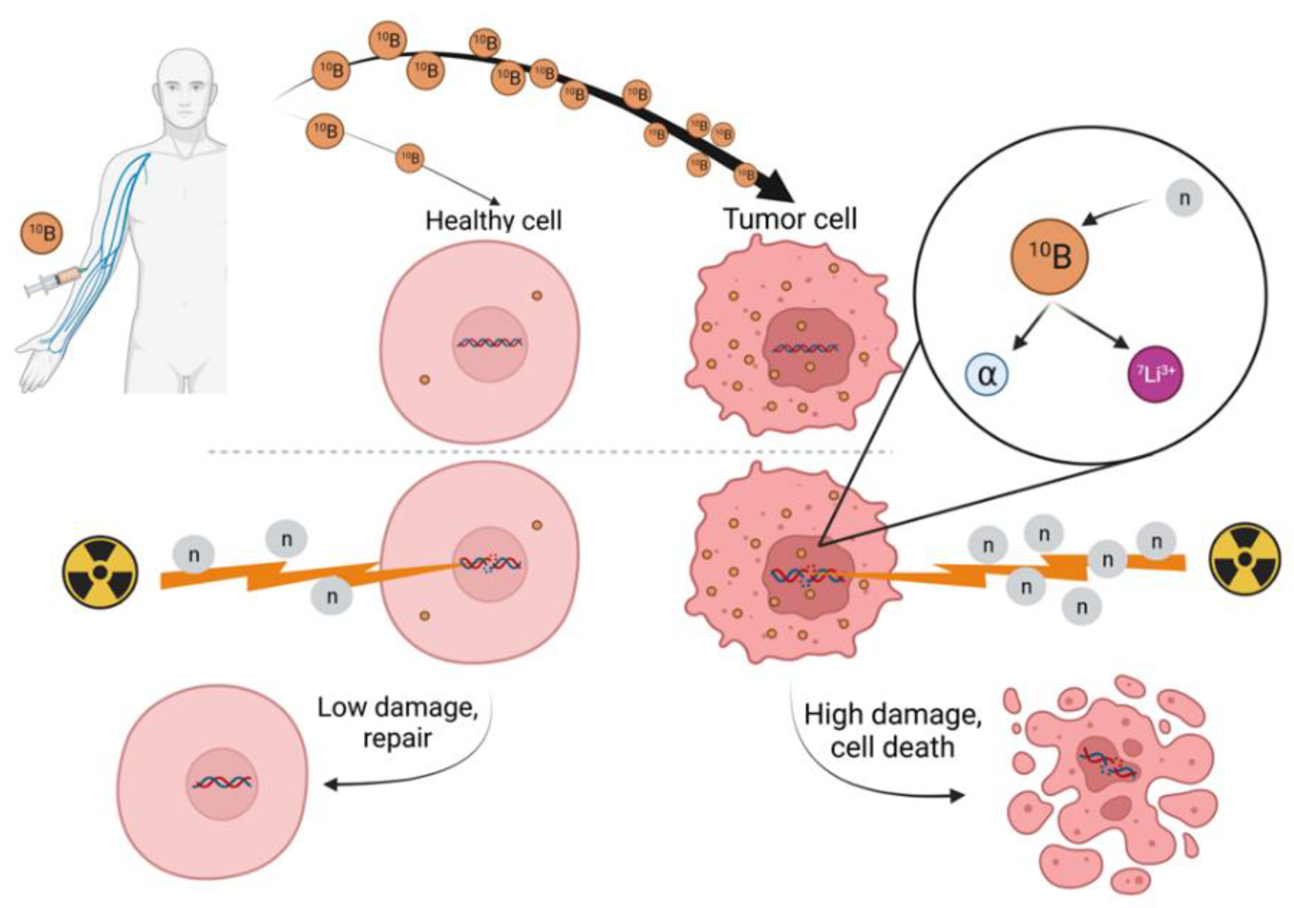 Cancers 14 02865 g003