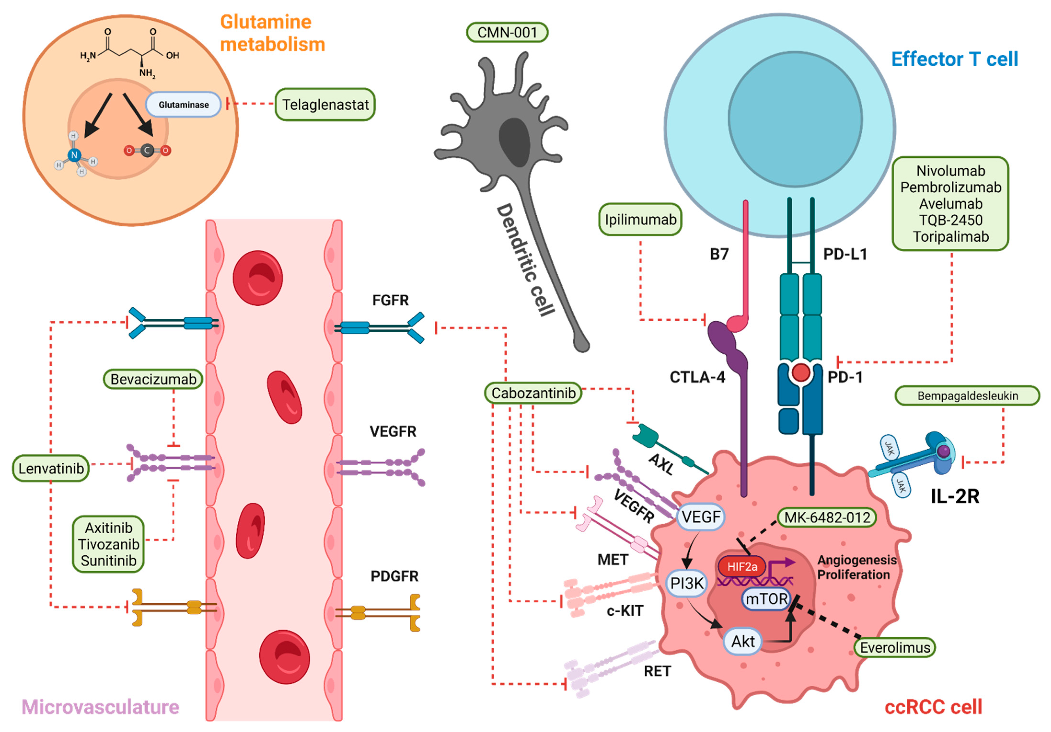 Cancers 14 02867 g001