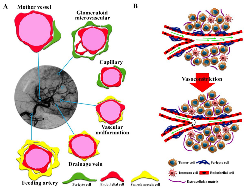 Cancers 14 02868 g001