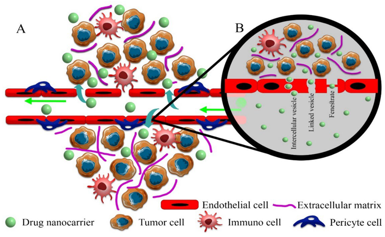 Cancers 14 02868 g002