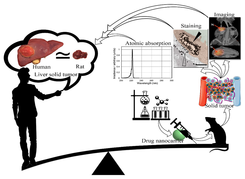 Cancers 14 02868 g004