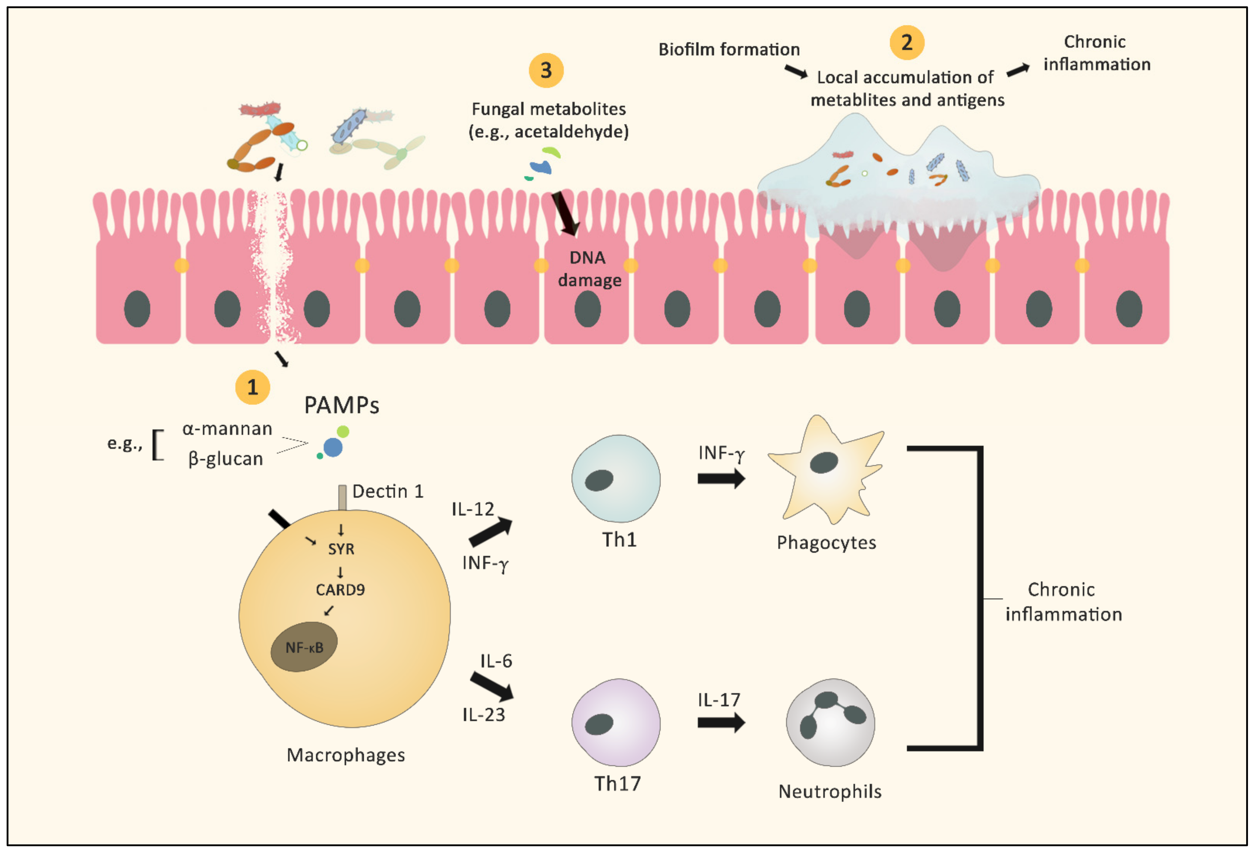 Cancers 14 02875 g001 Cancers 14 02875 g001