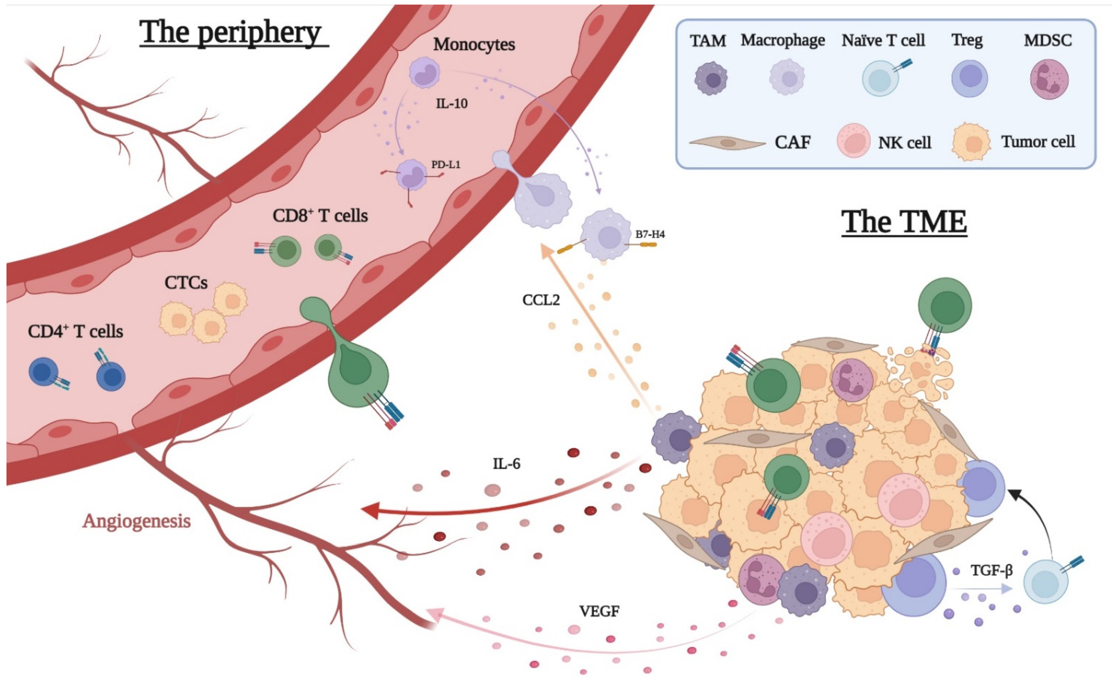 Cancers 14 02876 g002 Cancers 14 02876 g002