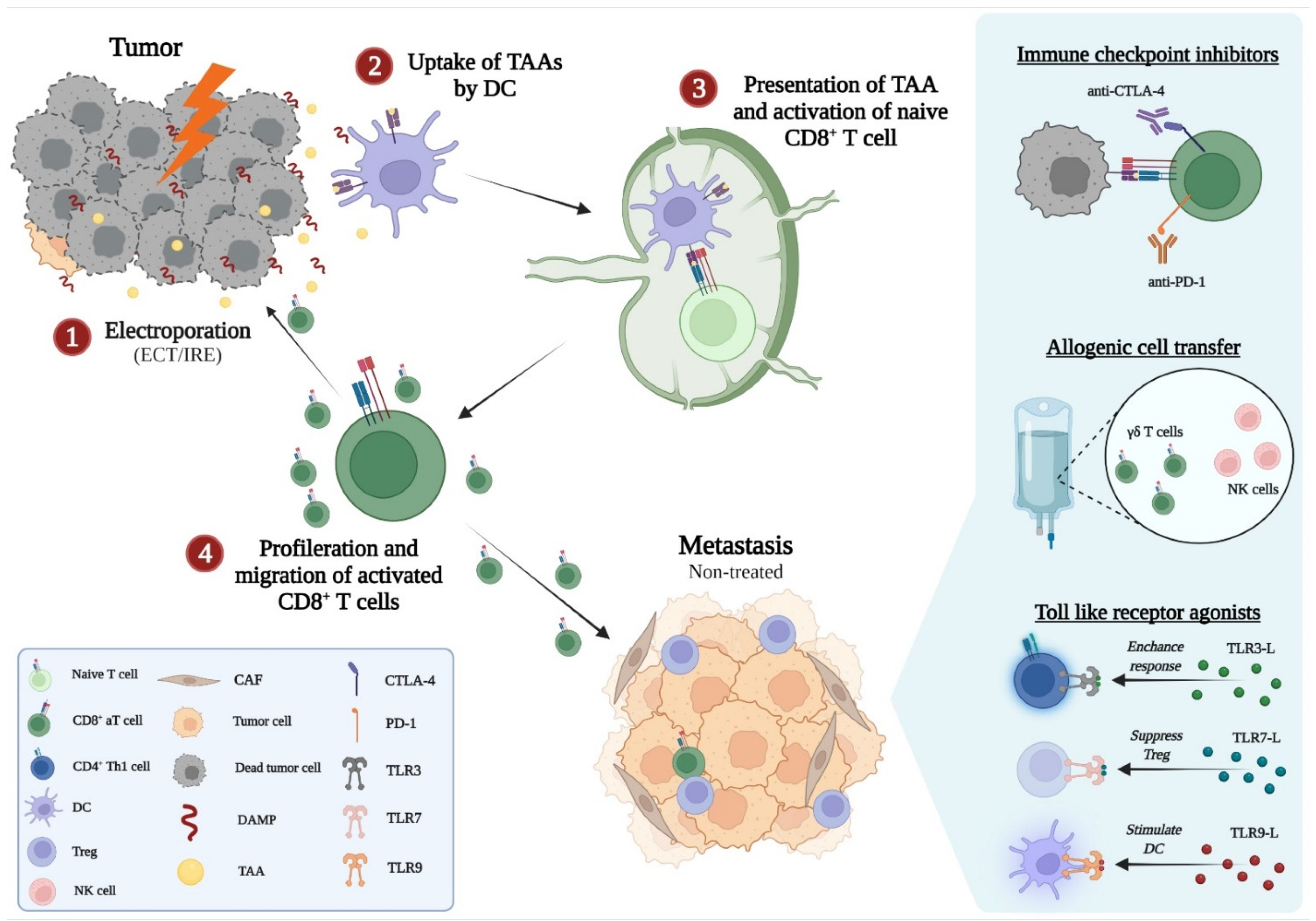 Cancers 14 02876 g003 Cancers 14 02876 g003