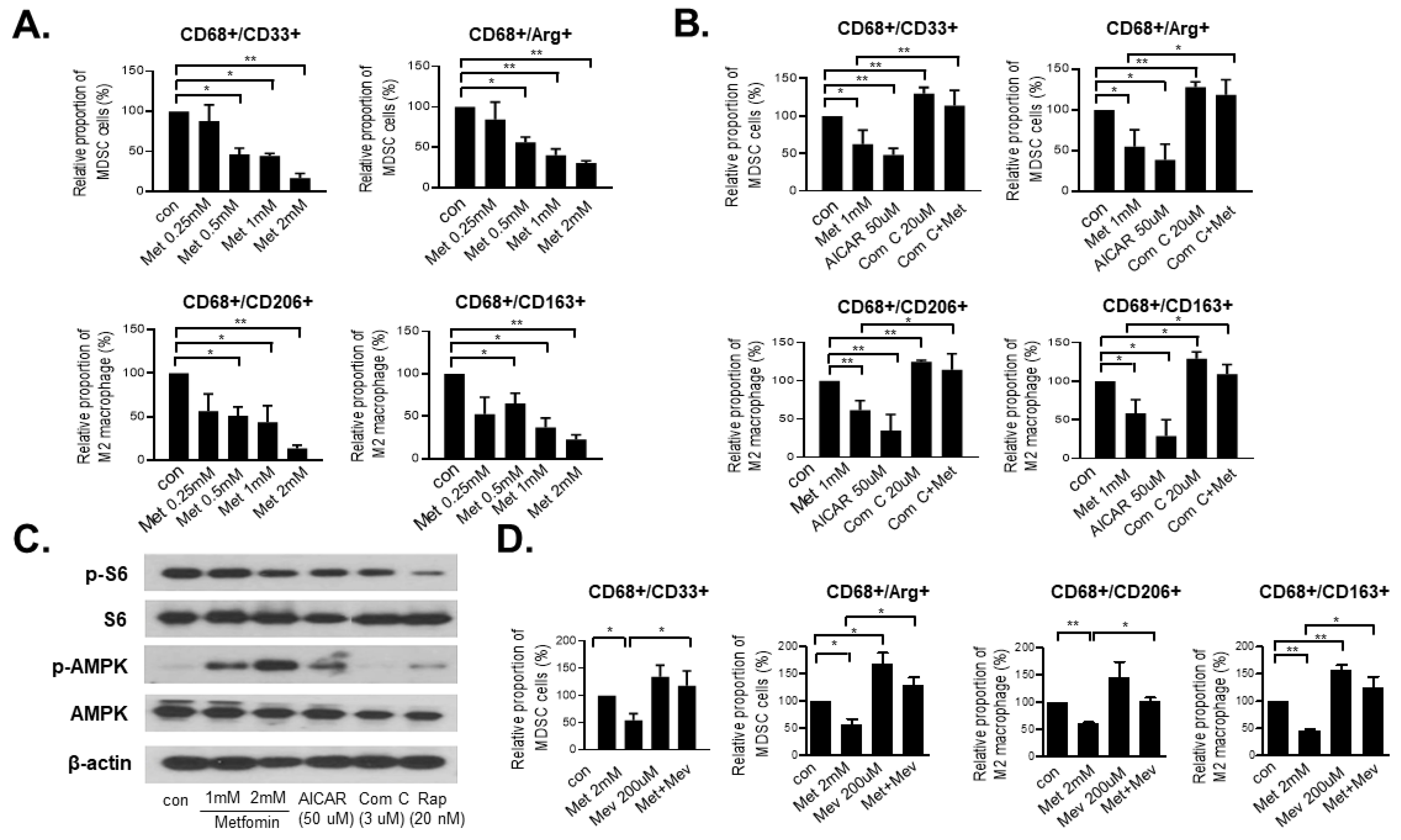 Cancers 14 02881 g001