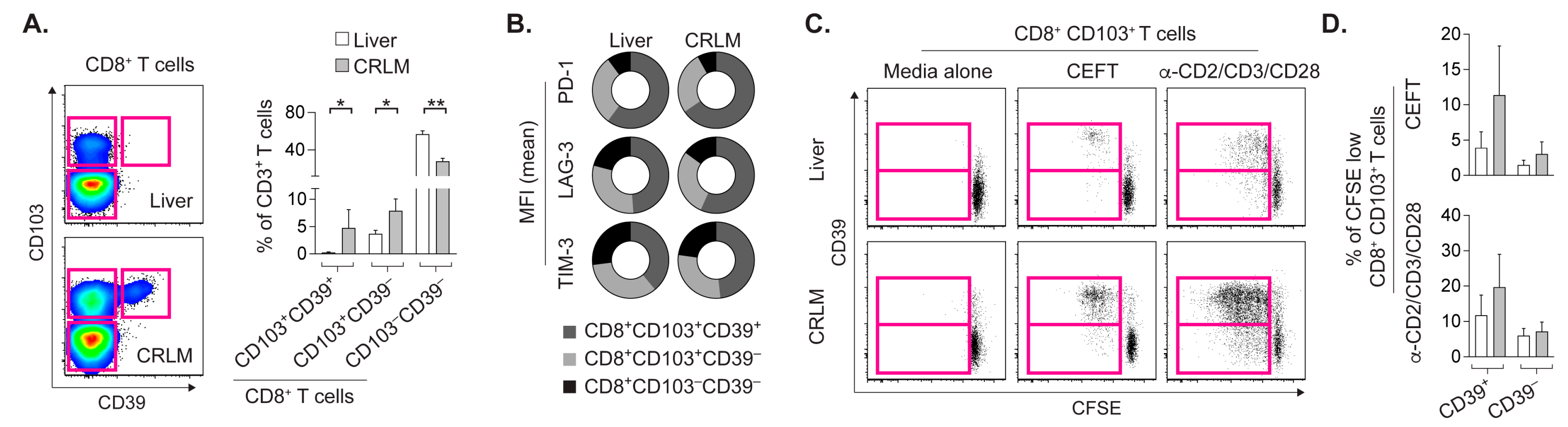 Cancers 14 02882 g002