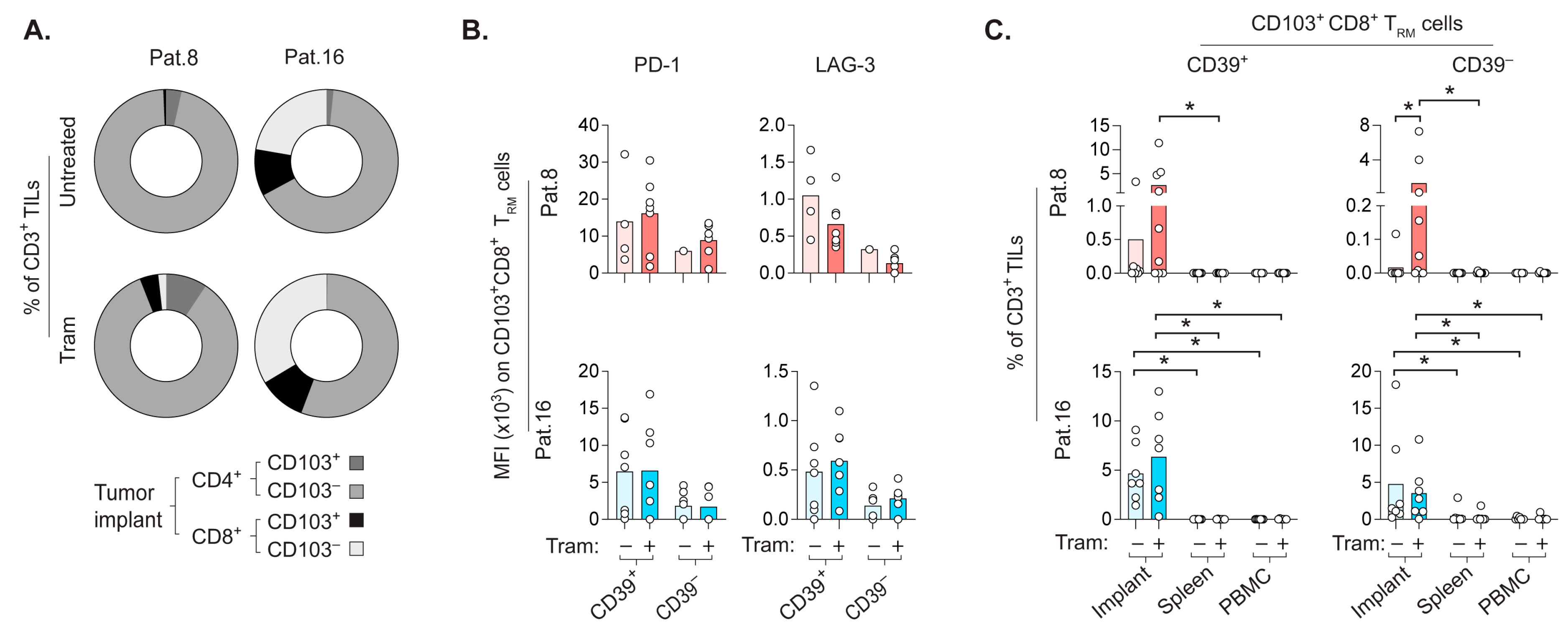 Cancers 14 02882 g004