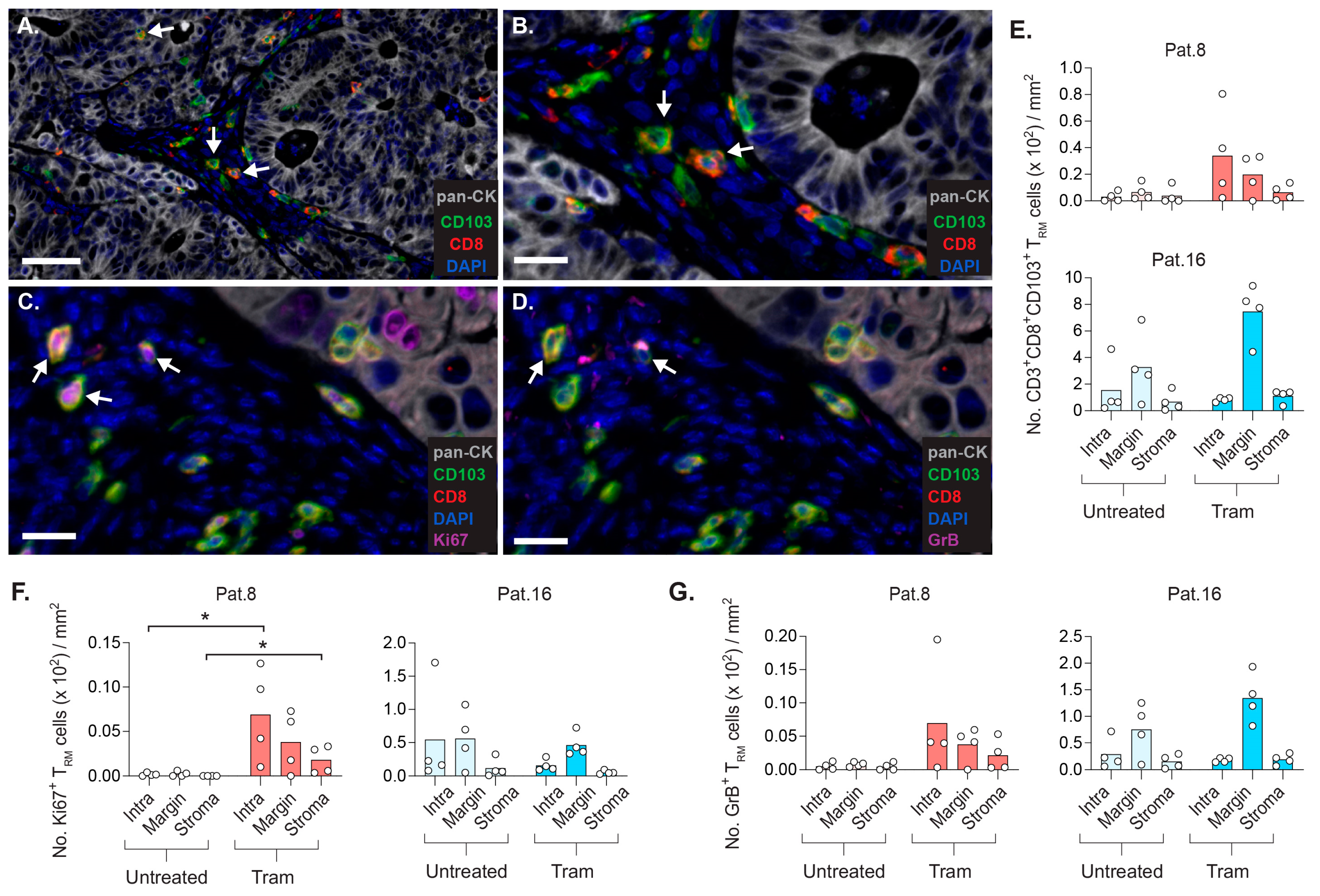 Cancers 14 02882 g005