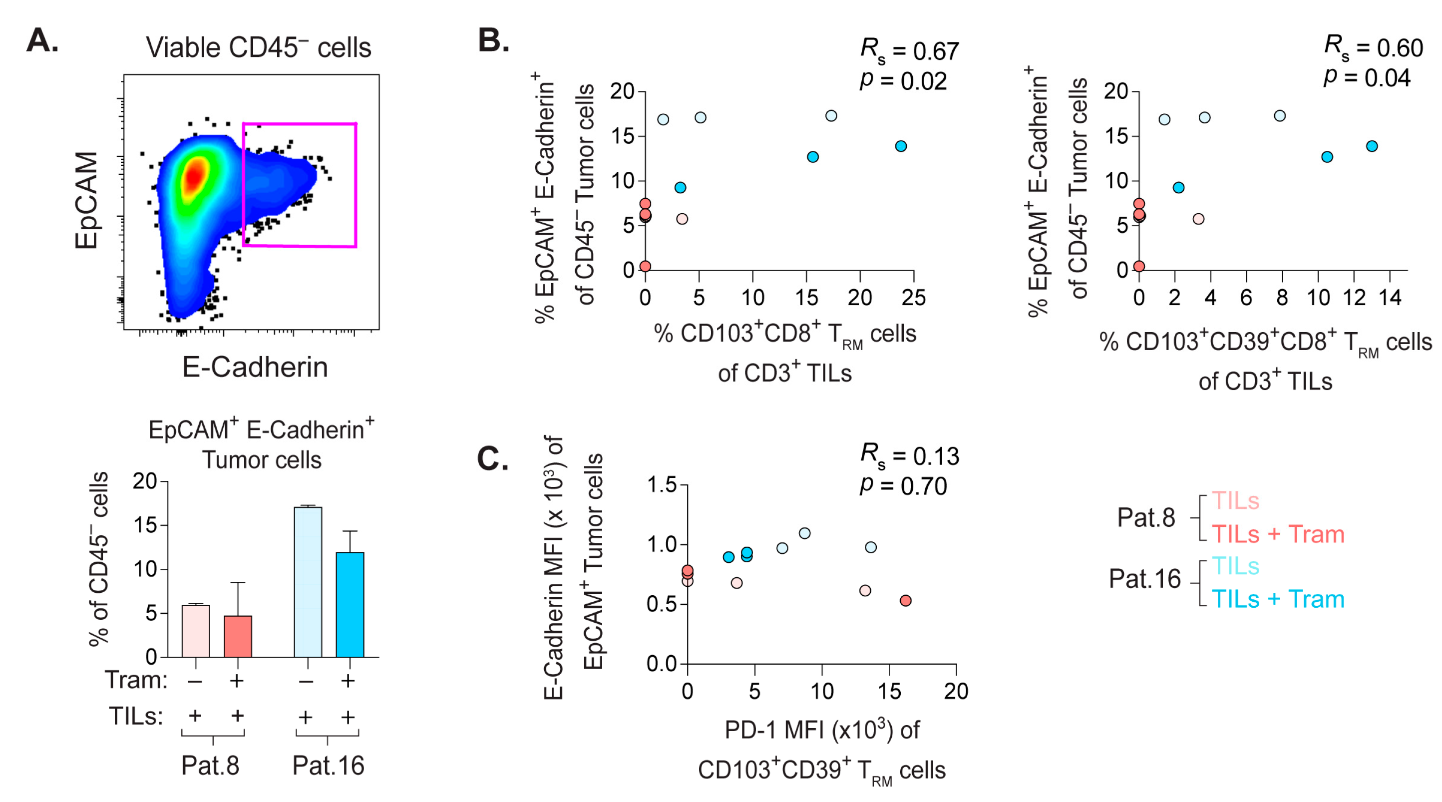 Cancers 14 02882 g006