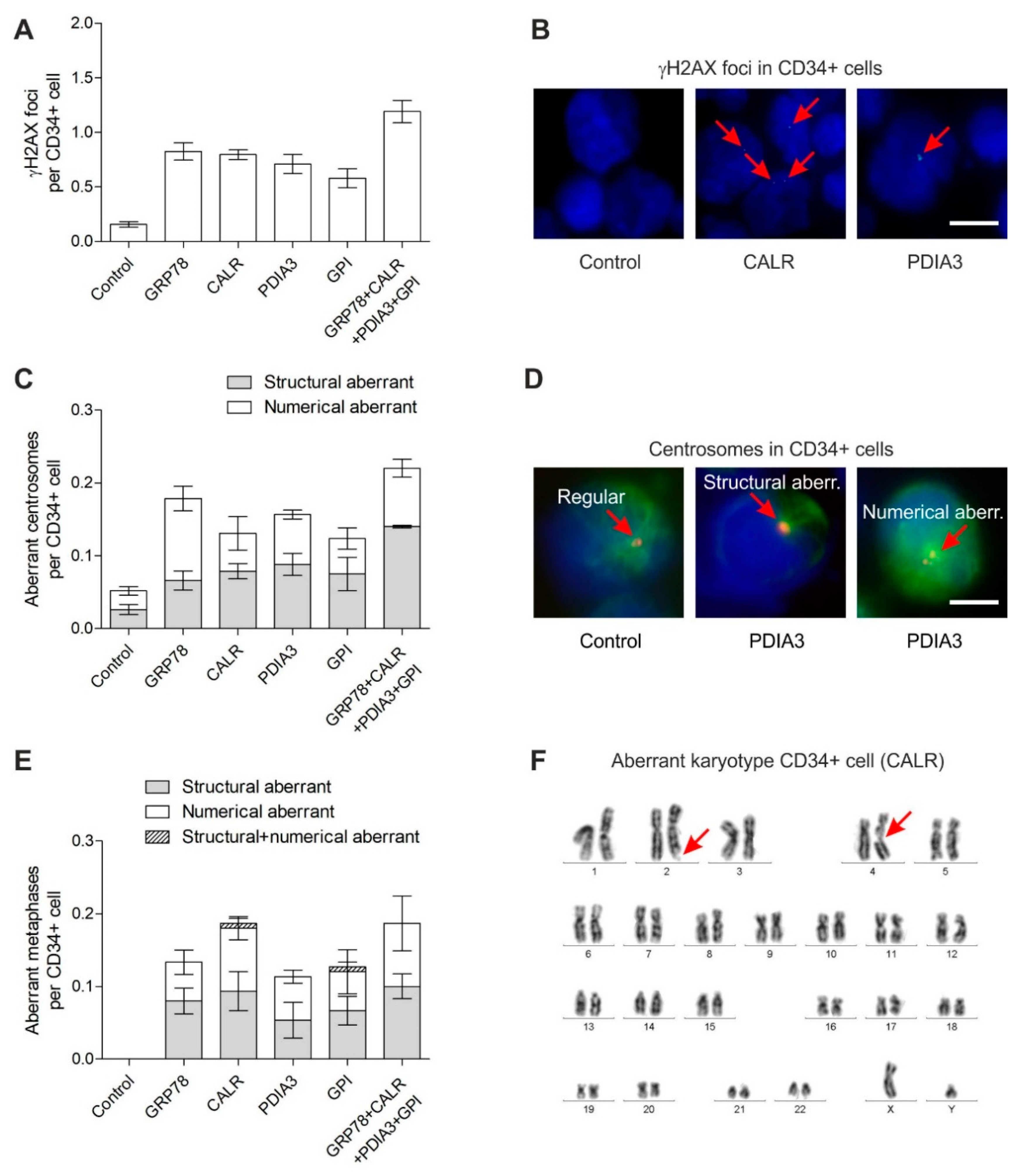 Cancers 14 02883 g001 Cancers 14 02883 g001