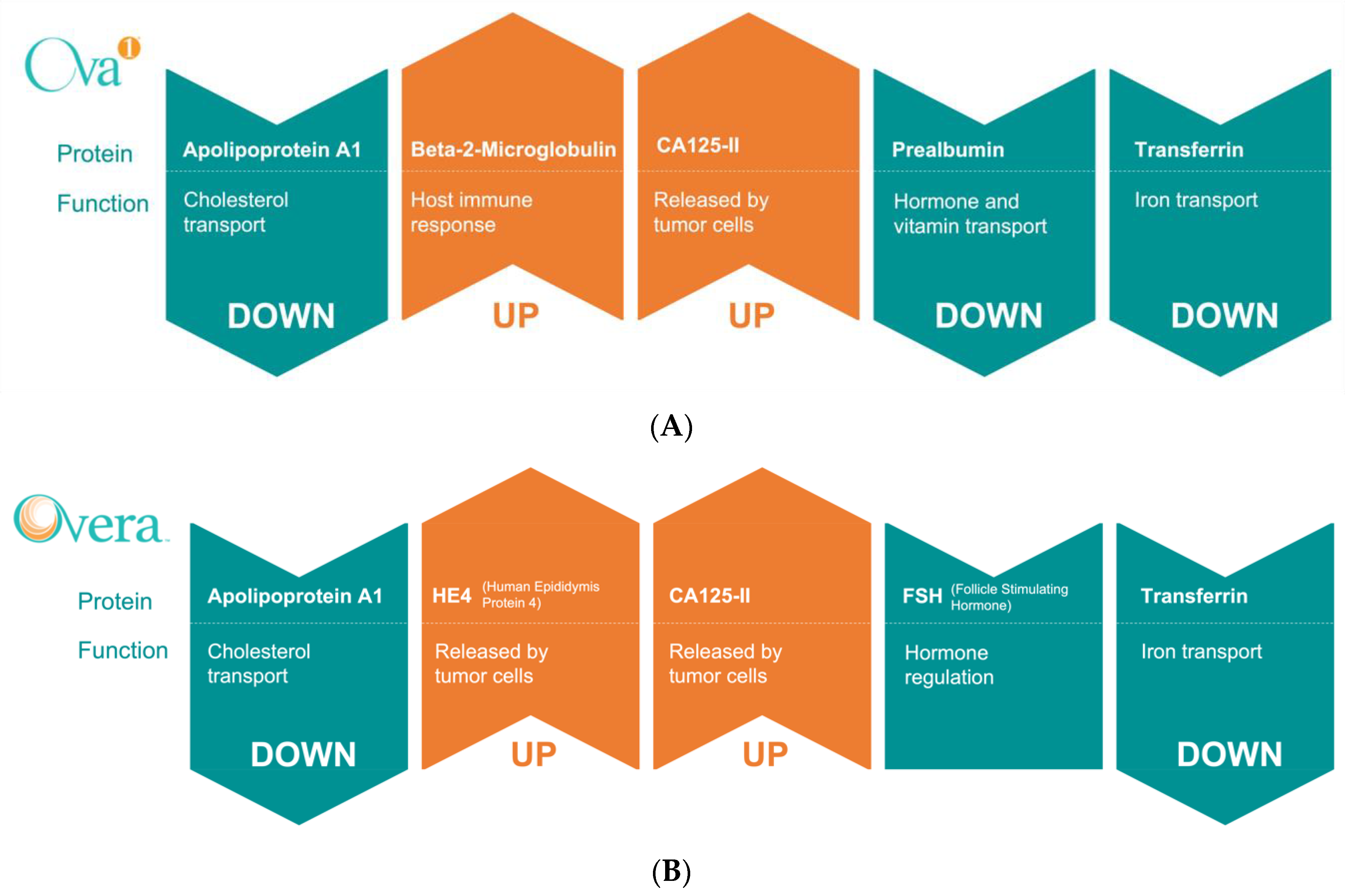 Cancers 14 02885 g006 Cancers 14 02885 g006