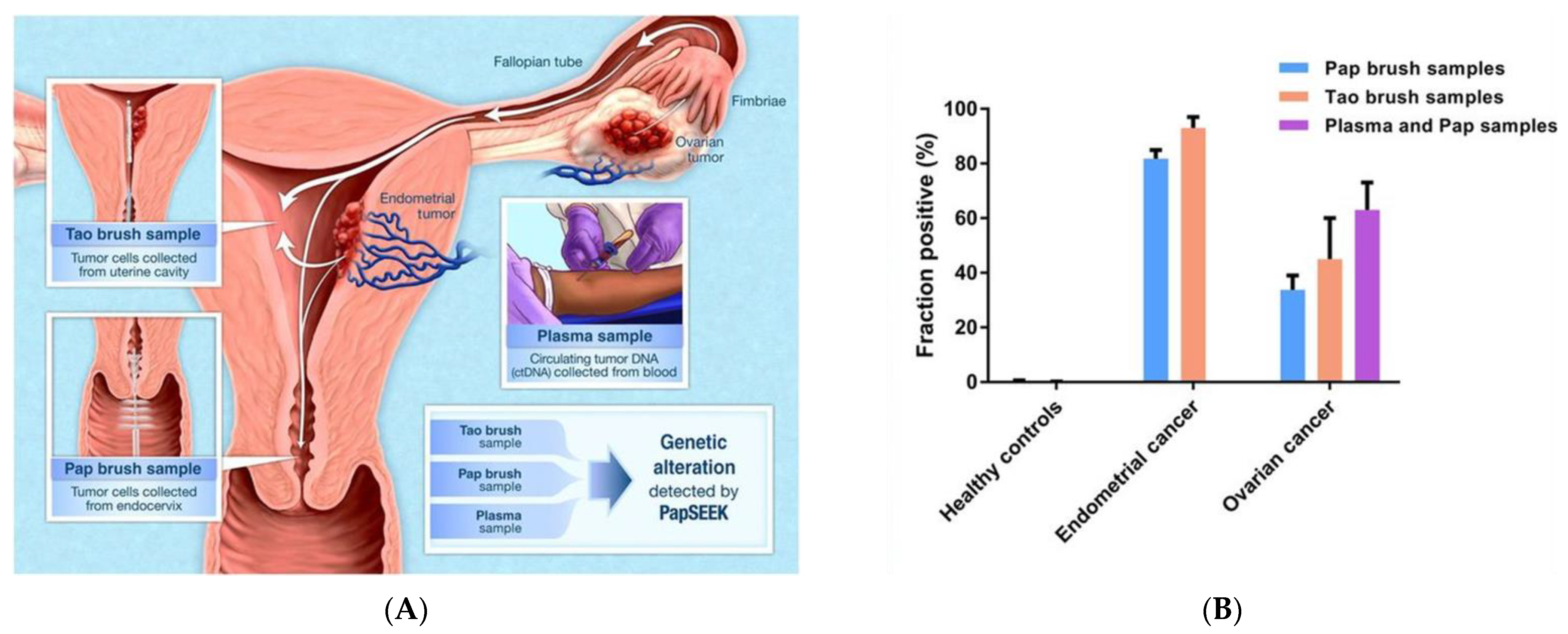 Cancers 14 02885 g007 Cancers 14 02885 g007