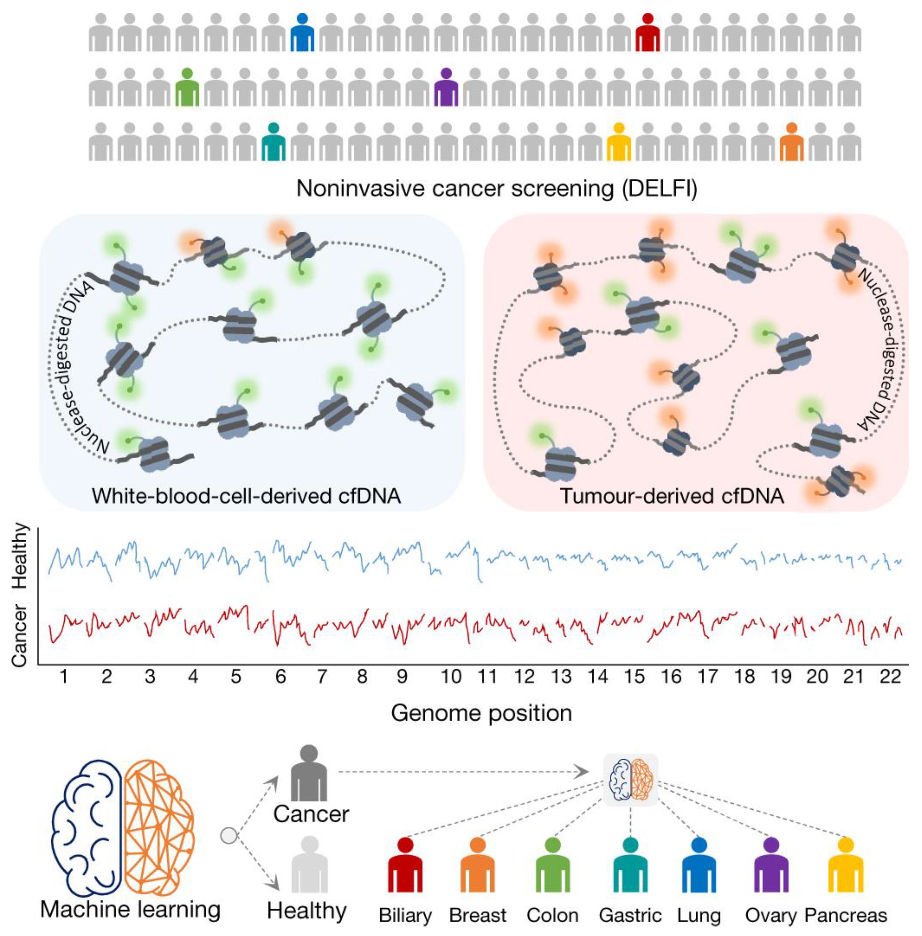 Cancers 14 02885 g008 Cancers 14 02885 g008