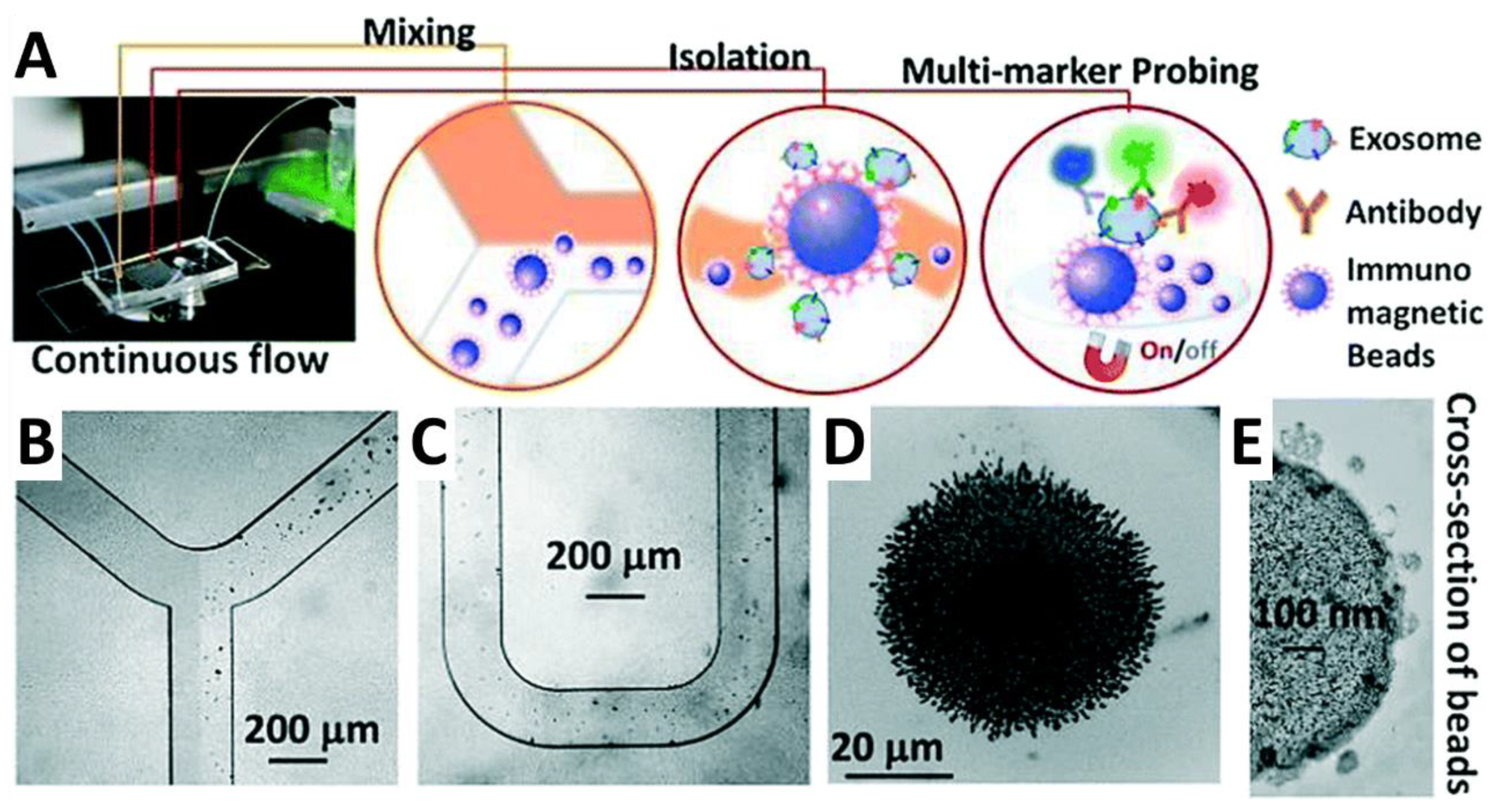 Cancers 14 02885 g009 Cancers 14 02885 g009