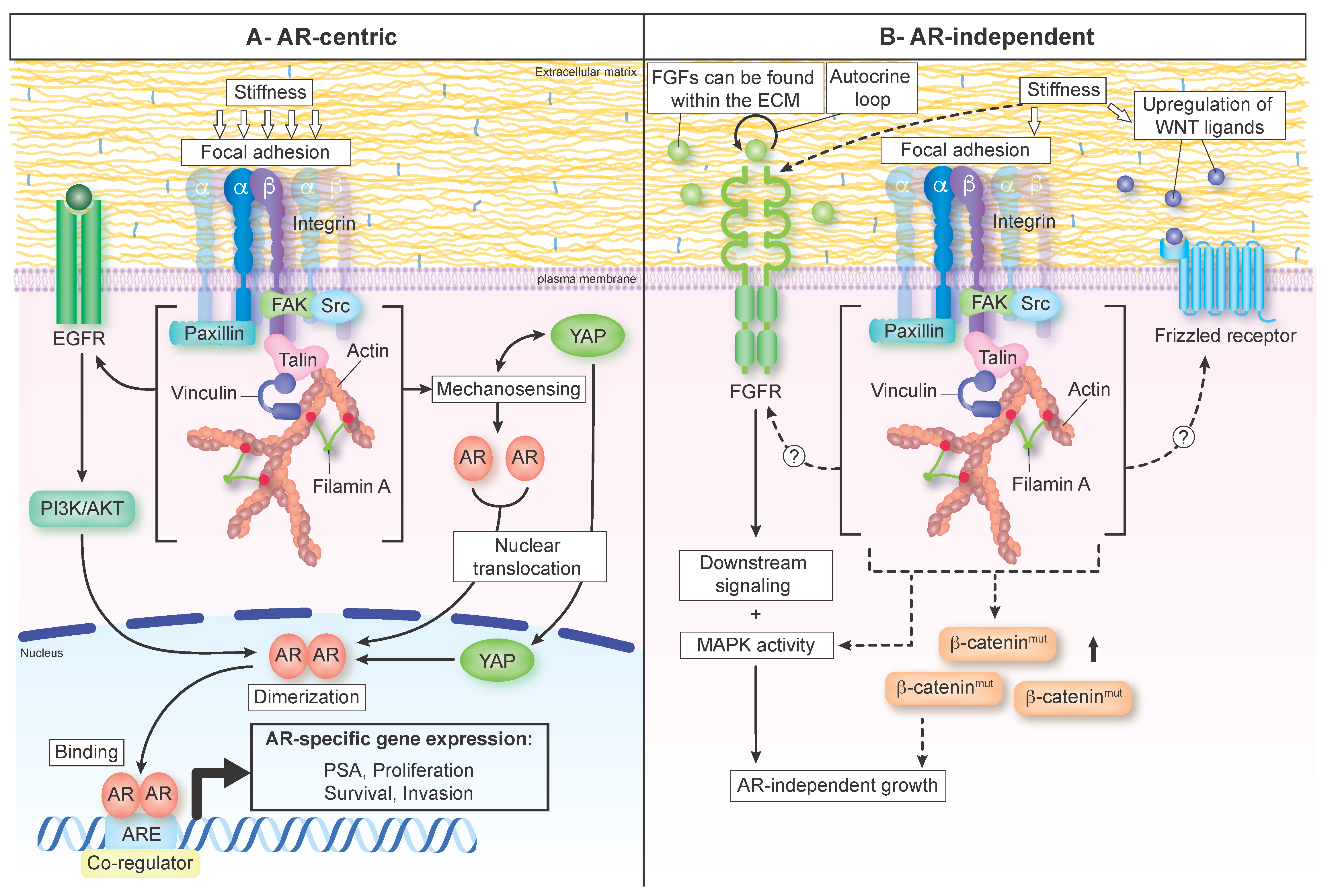 Cancers 14 02887 g002 Cancers 14 02887 g002