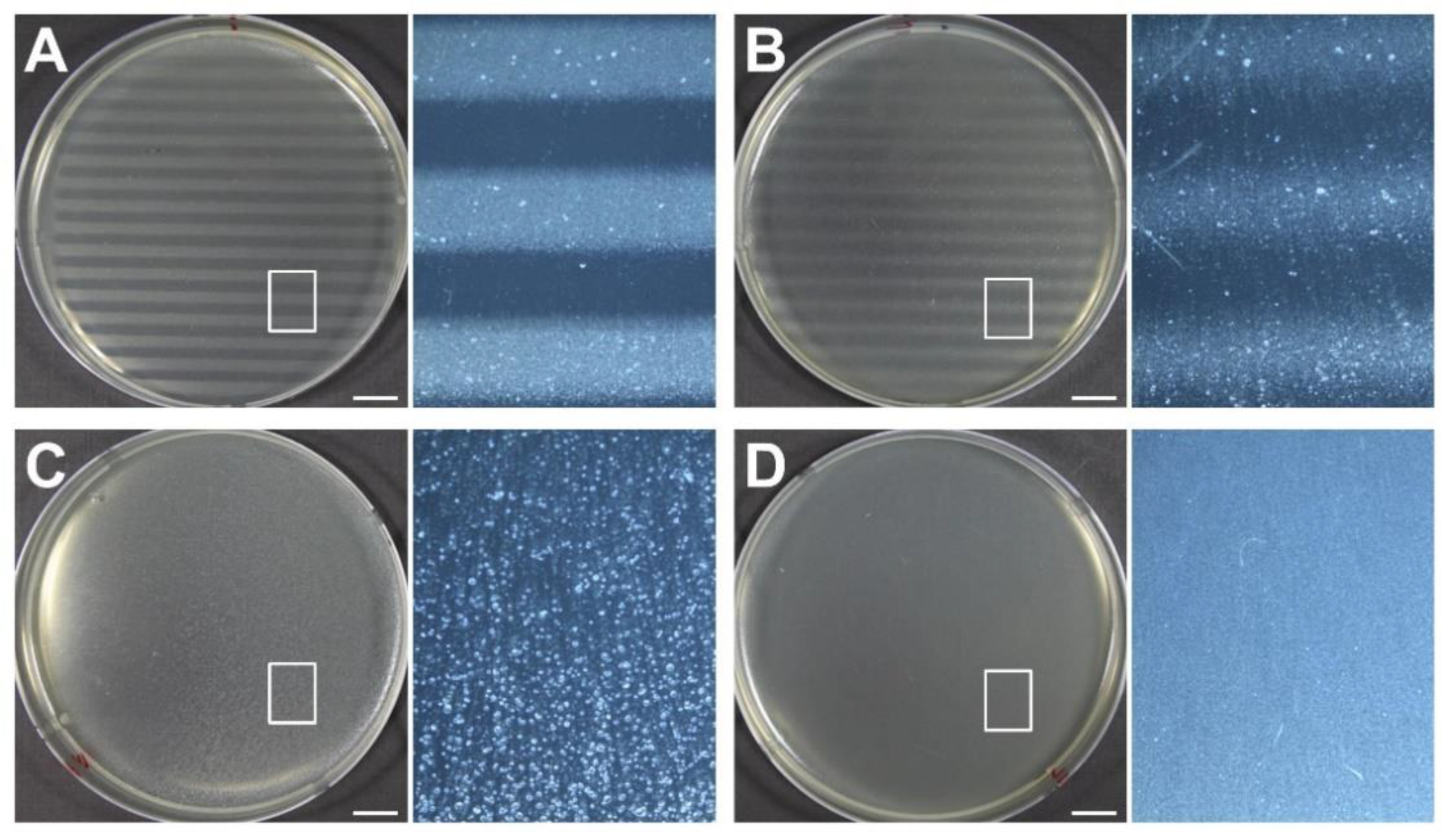 Cancers 14 02888 g007 Cancers 14 02888 g007