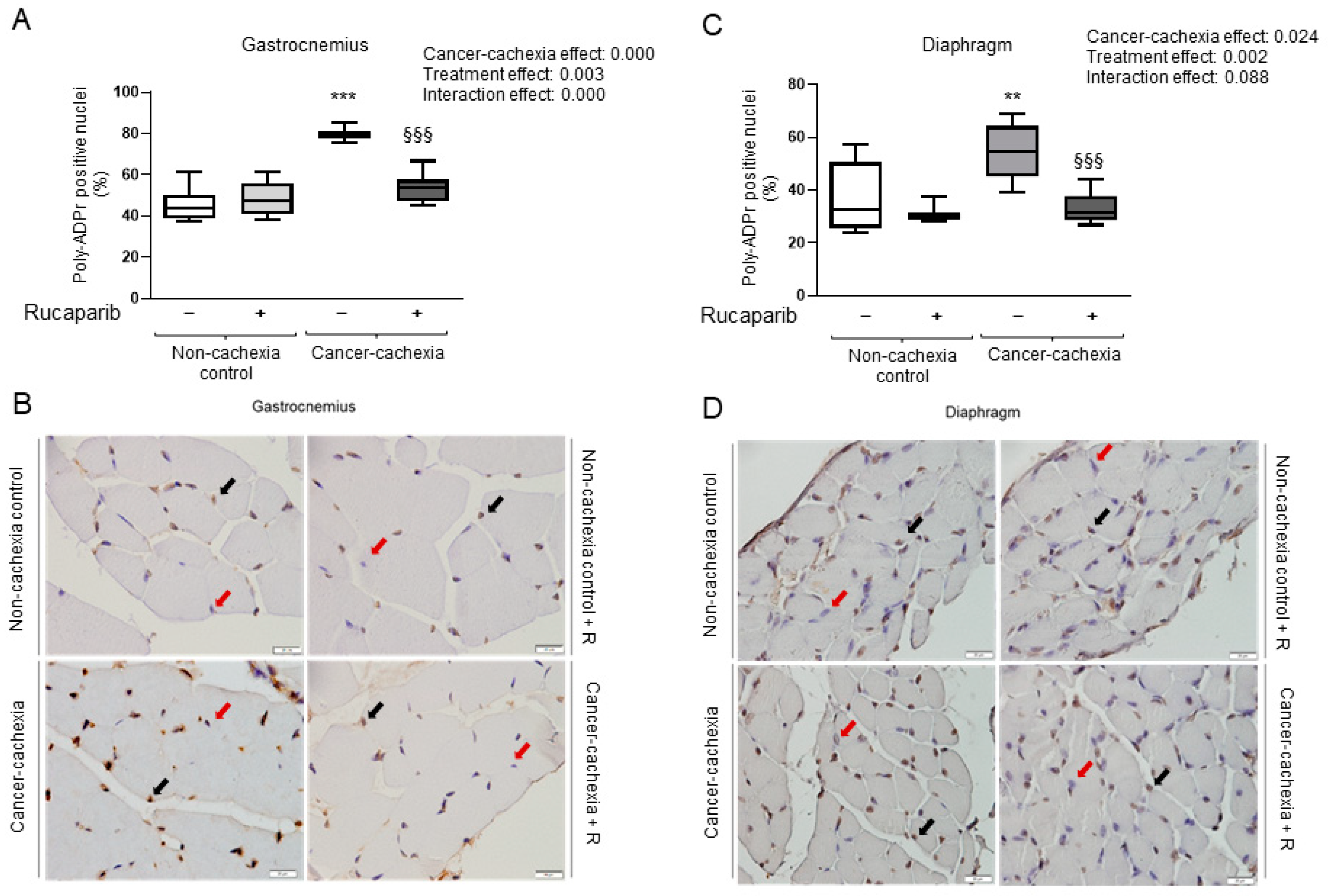 Cancers 14 02894 g002 Cancers 14 02894 g002