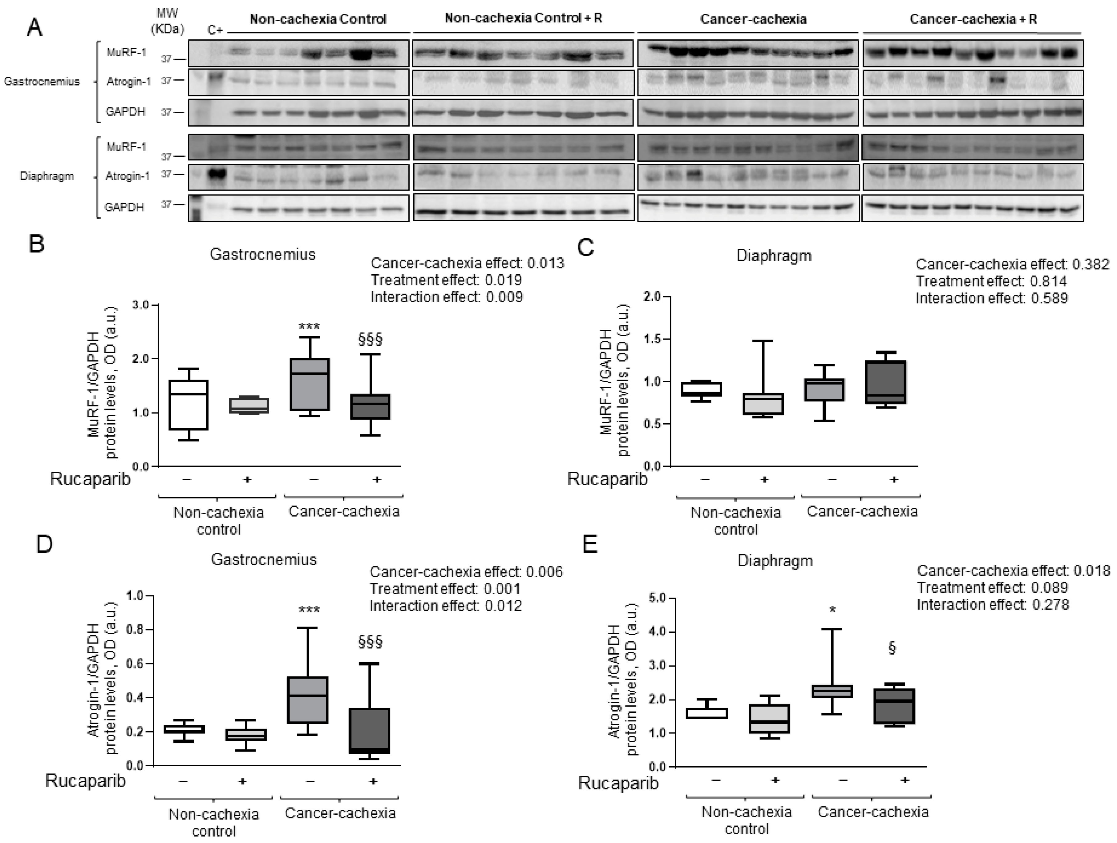 Cancers 14 02894 g006 Cancers 14 02894 g006