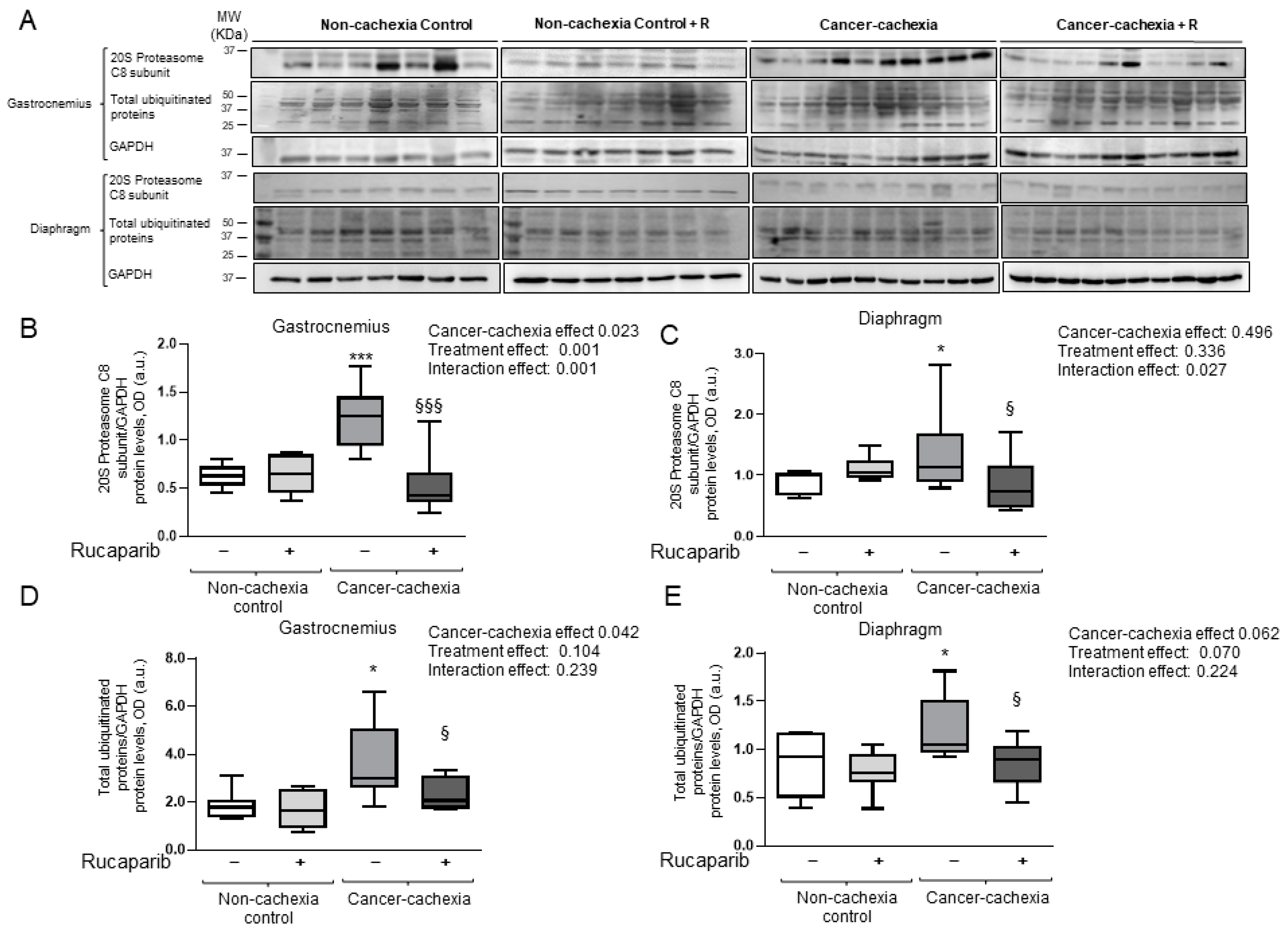 Cancers 14 02894 g007 Cancers 14 02894 g007
