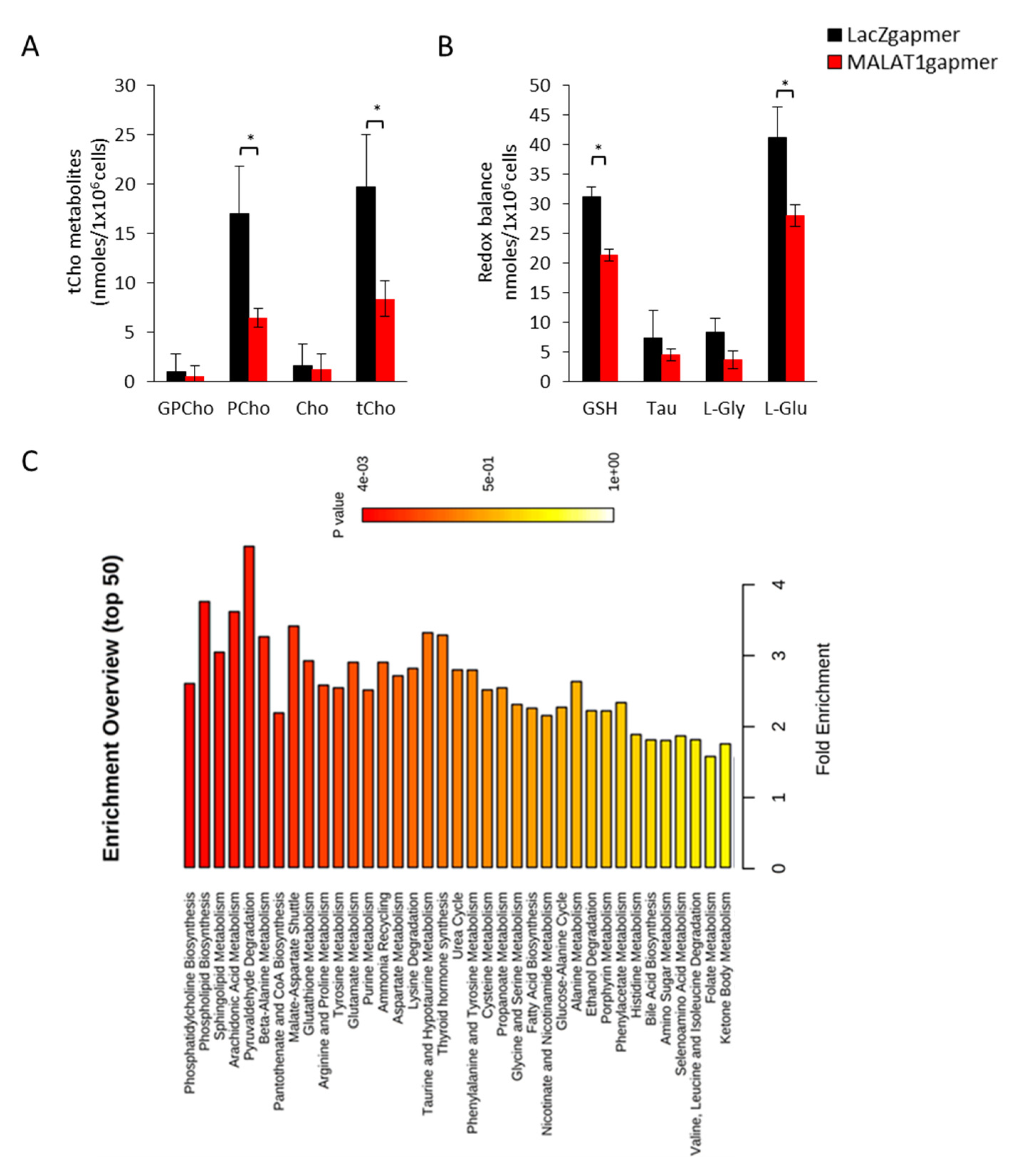 Cancers 14 02902 g001 550